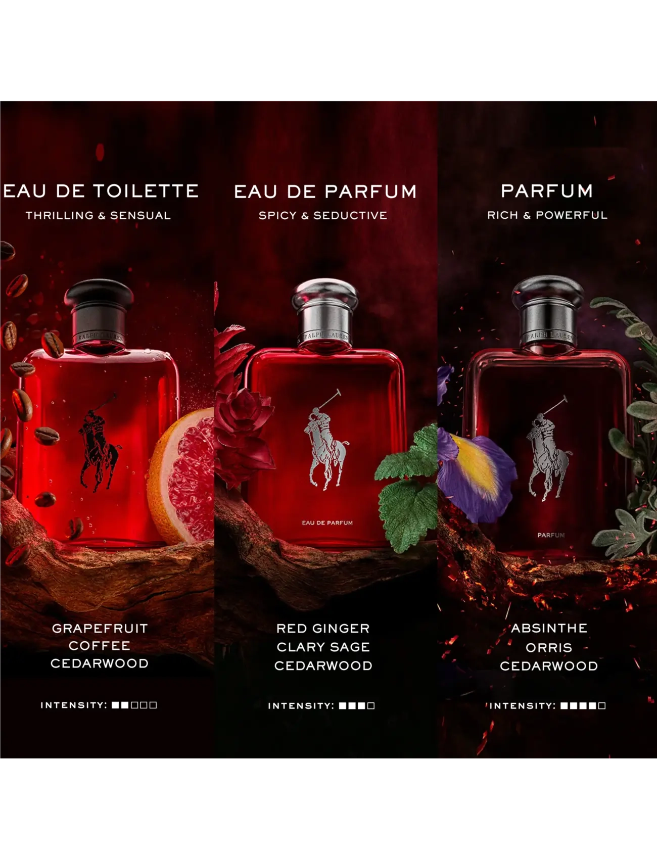 Ralph Lauren - Fragrance - Ralph Lauren Polo Red Eau De Parfum 75ml - til ham  - clear - 4