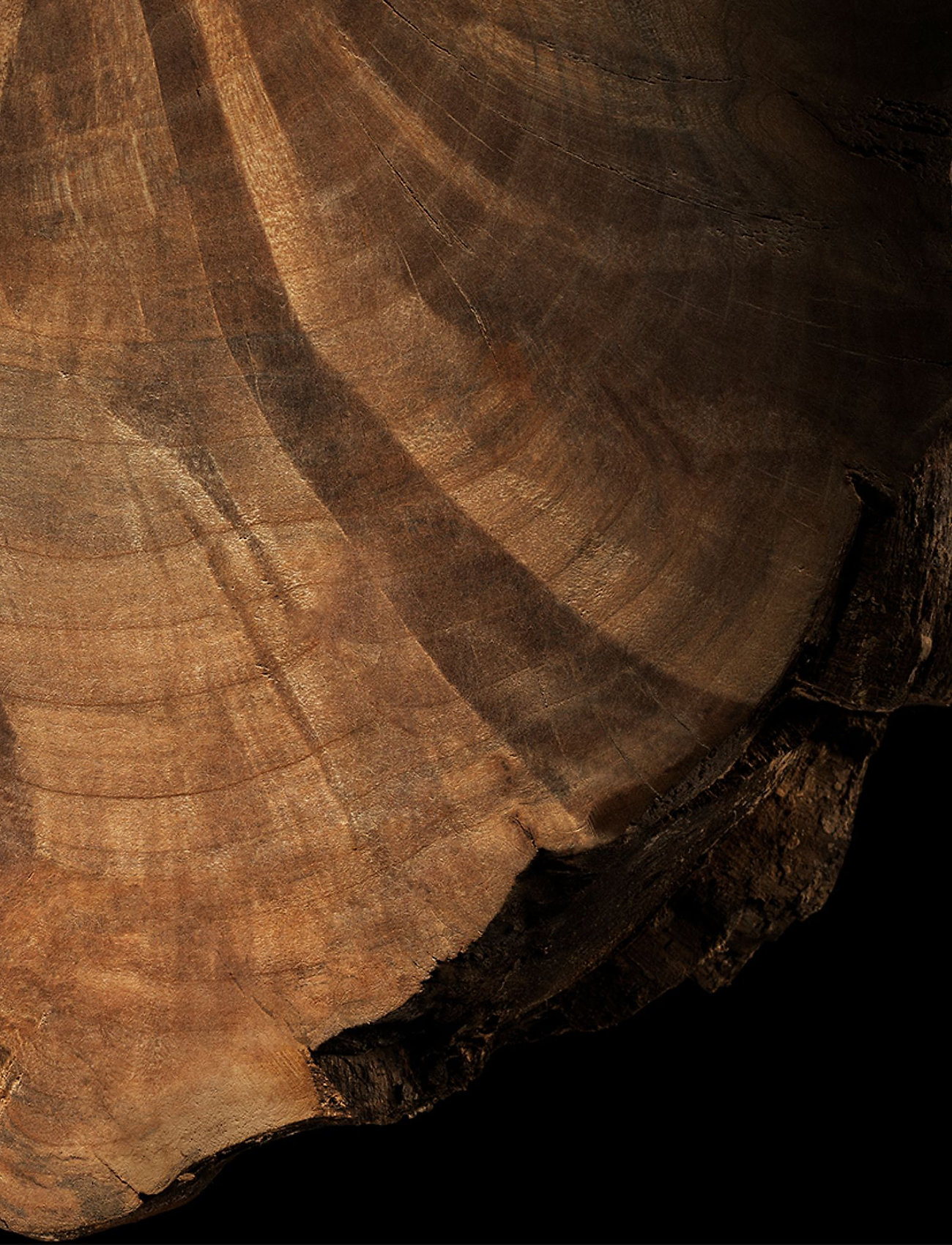 Ralph Lauren - Fragrance - Ralph Lauren Polo Red Eau De Parfum 75ml - till honom  - clear - 5