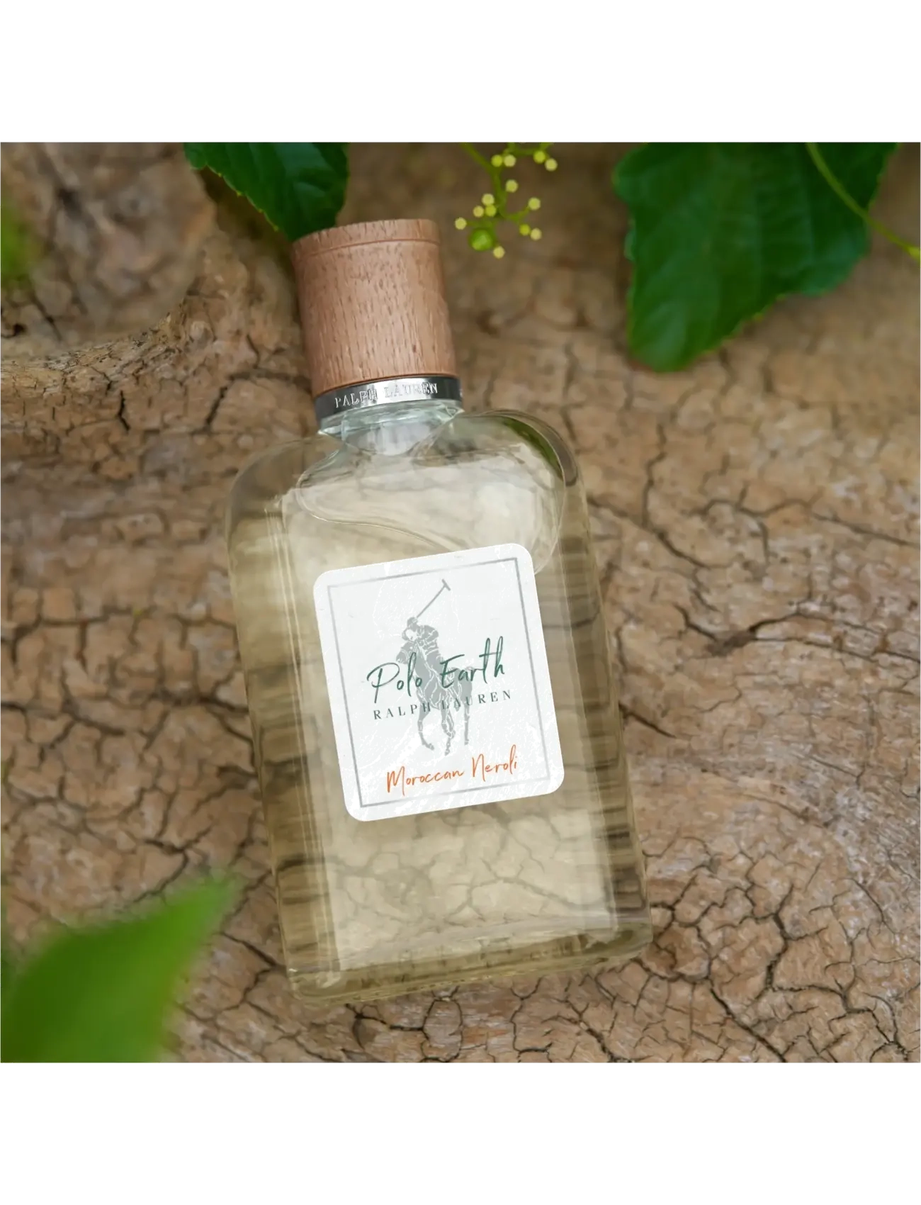 Ralph Lauren Fragrance Polo Earth Moroccan 6