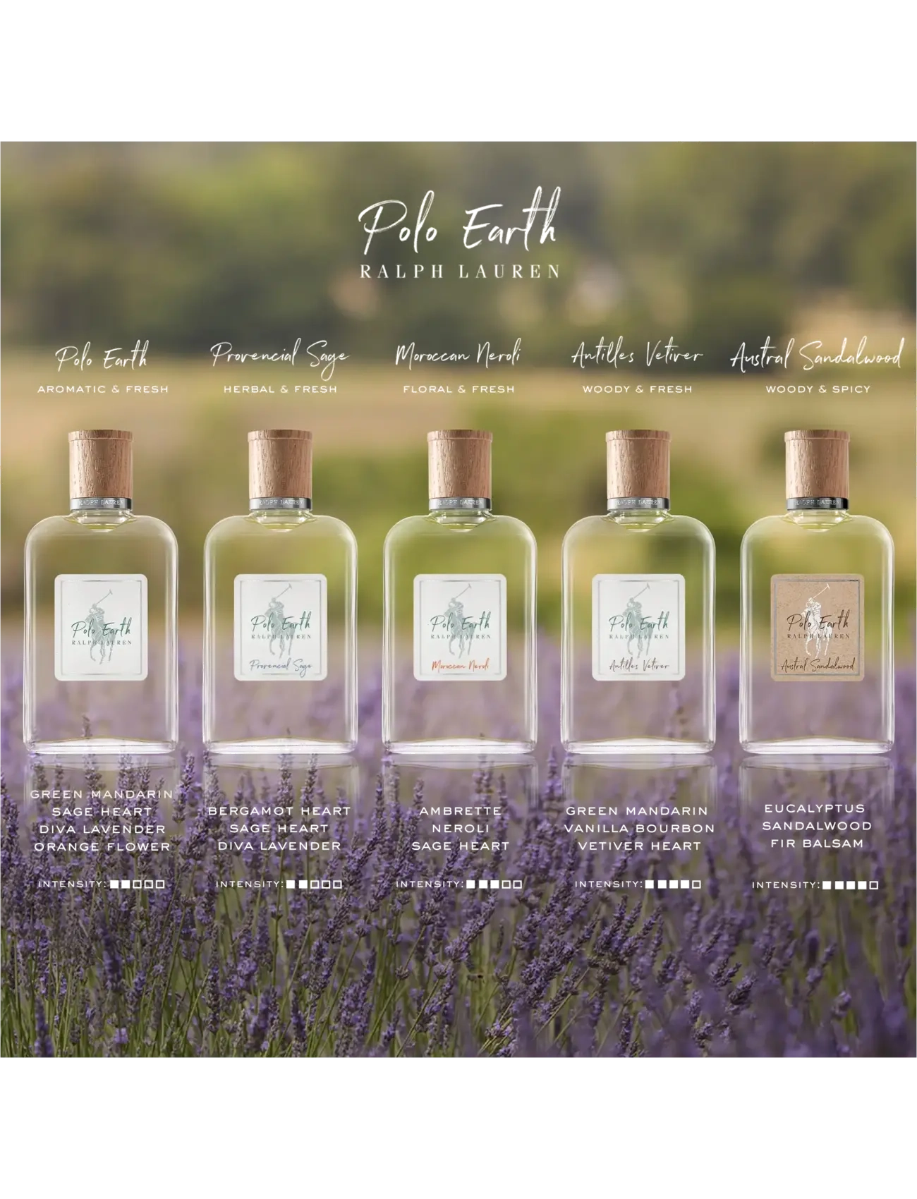 Ralph Lauren - Fragrance - POLO EARTH ANTILLES 100ml - jai  - clear - 5