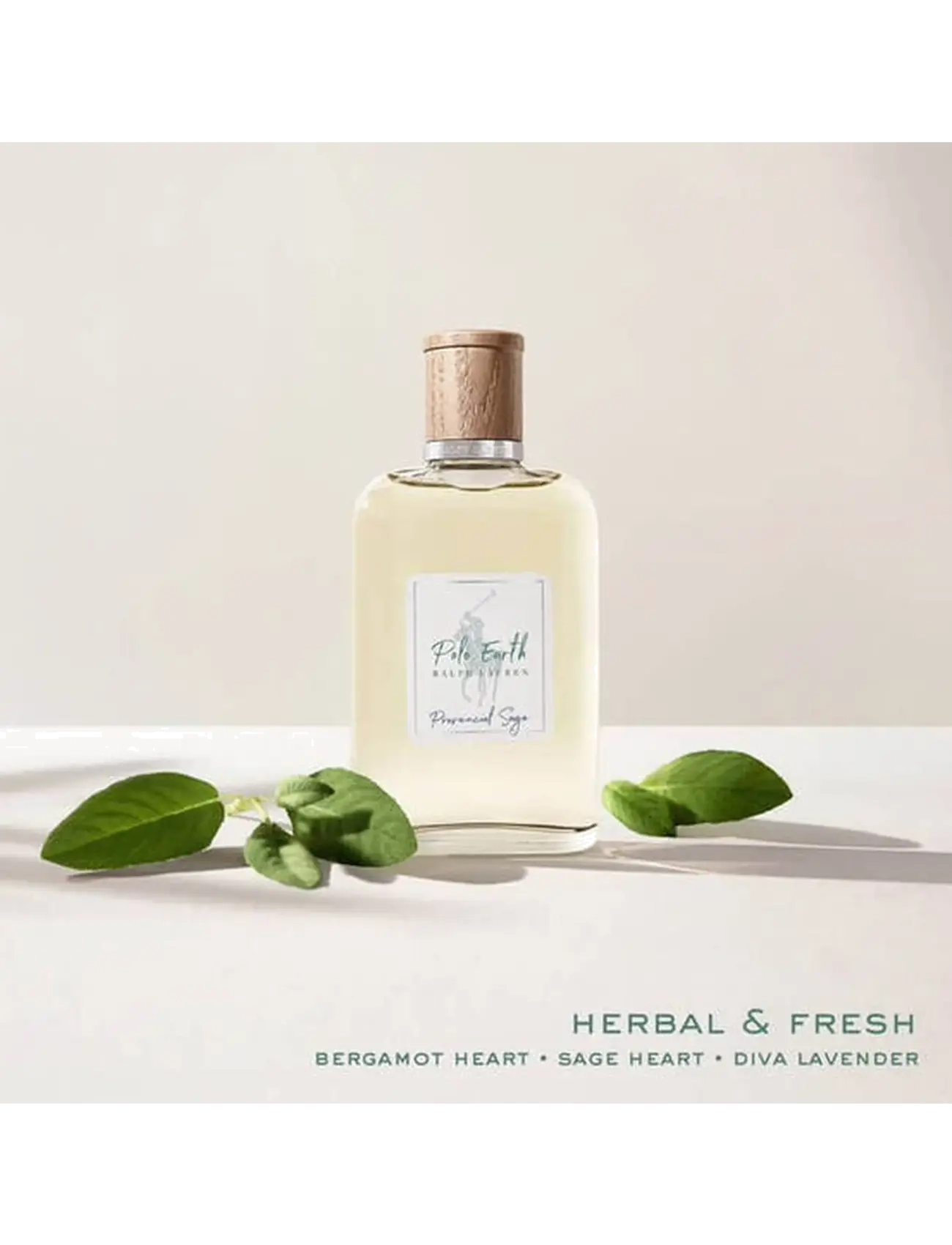 Ralph Lauren - Fragrance - POLO EARTH PROVENCIAL  100ml - clear - 2