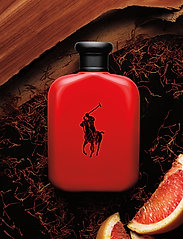 Ralph Lauren - Fragrance - Polo Red Eau de Toilette - alle 50–100€ - no color code - 2
