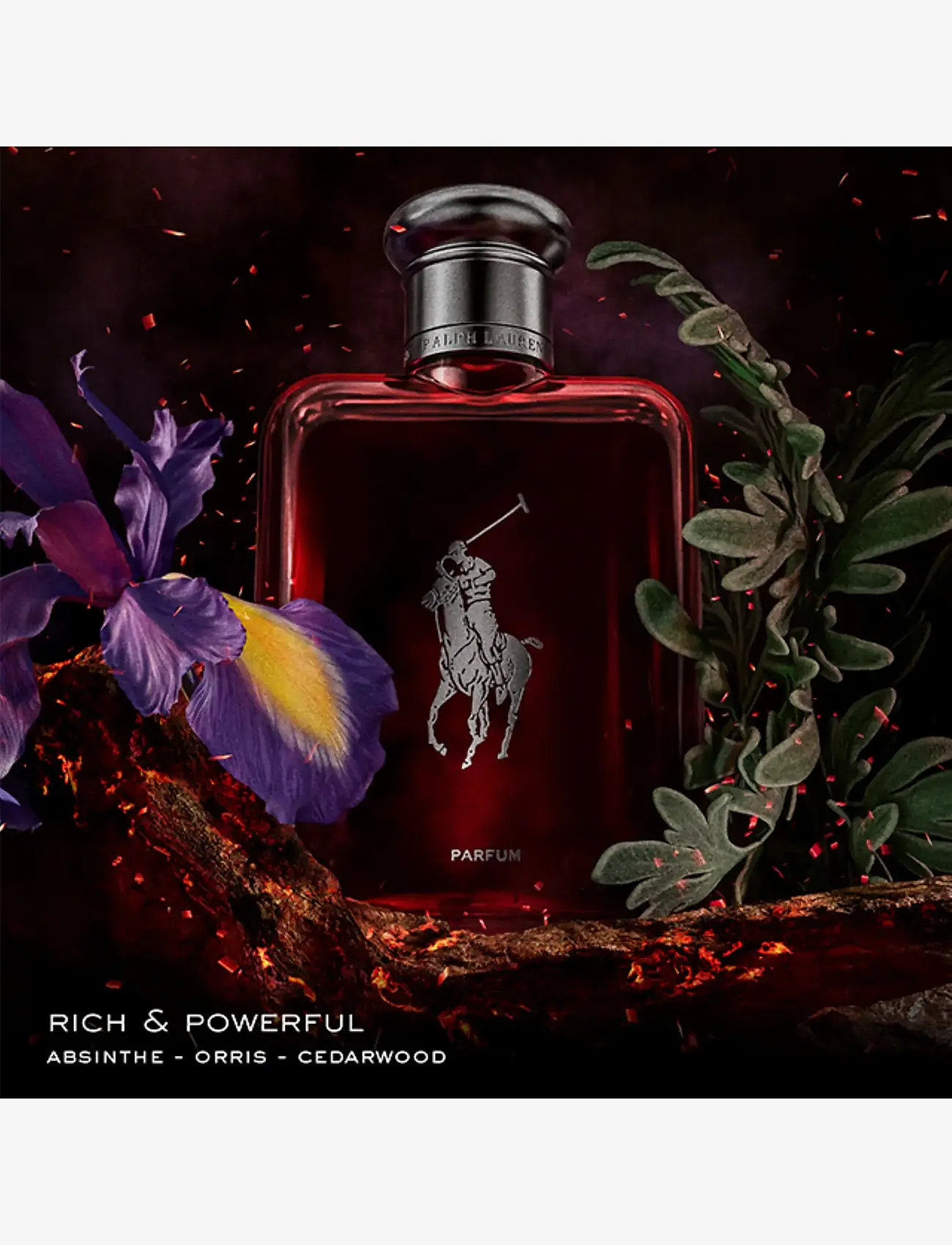 Ralph Lauren - Fragrance - PRED PARFUM 150ML REFILL FG G - clear - 2