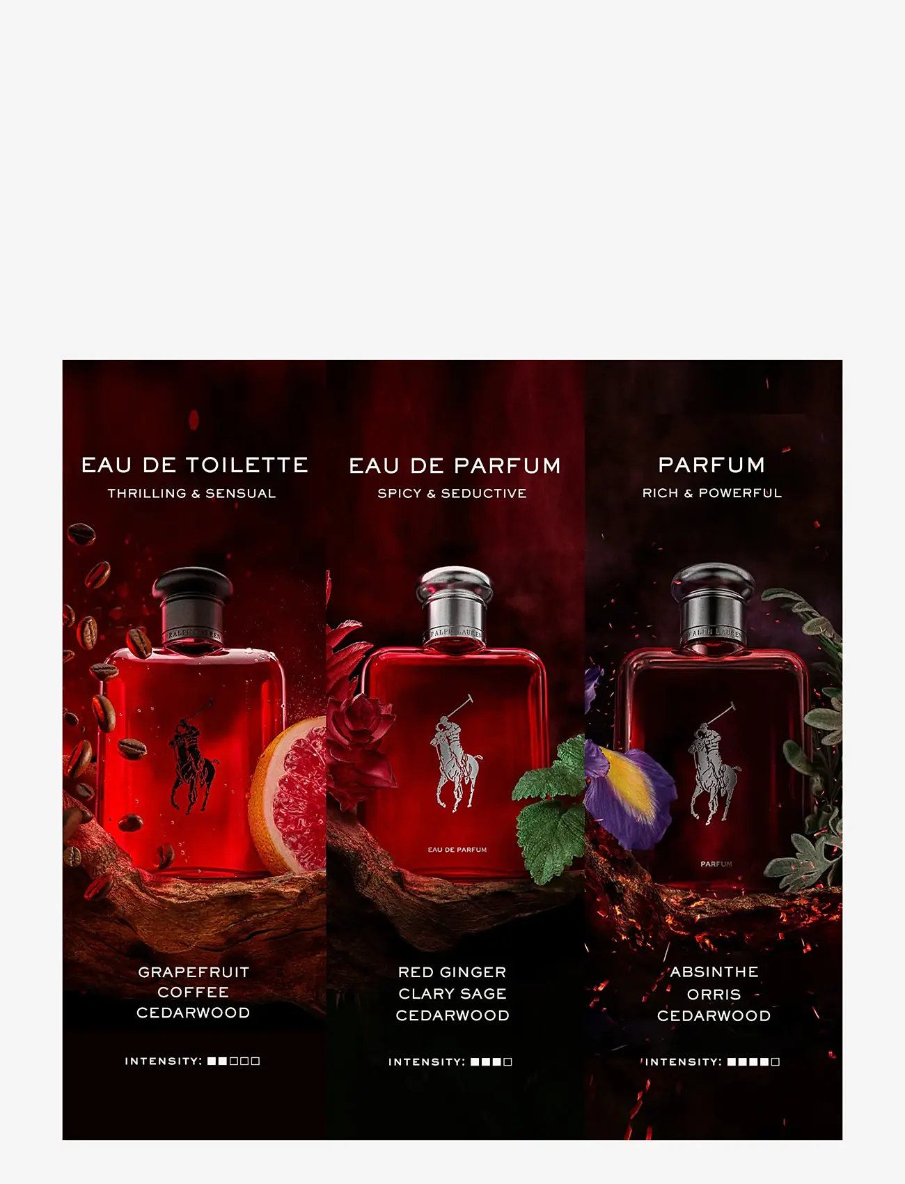 Ralph Lauren - Fragrance - PRED PARFUM 150ML REFILL FG G - clear - 4