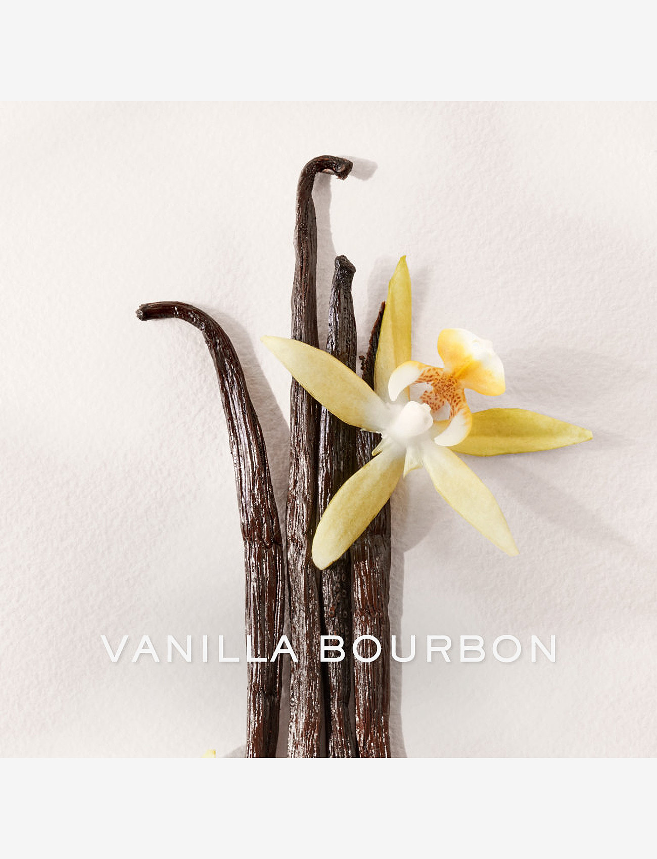 Ralph Lauren - Fragrance - POLO EARTH ANTILLES Refill - till henne  - clear - 2