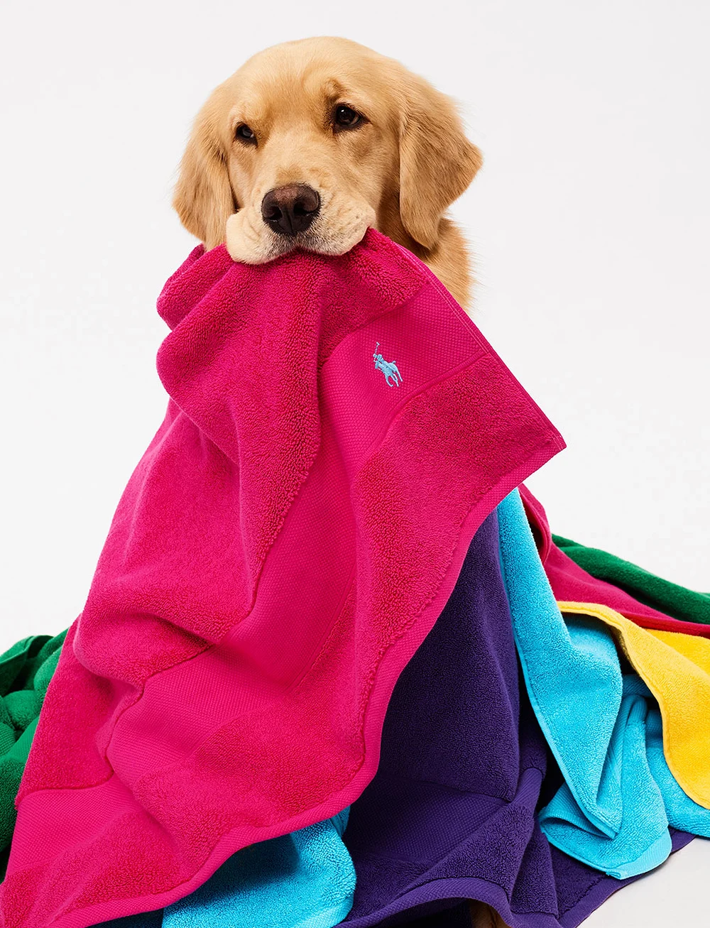 Ralph Lauren Home - POLOPLAY Guest towel - gästhanddukar - pinksky - 5