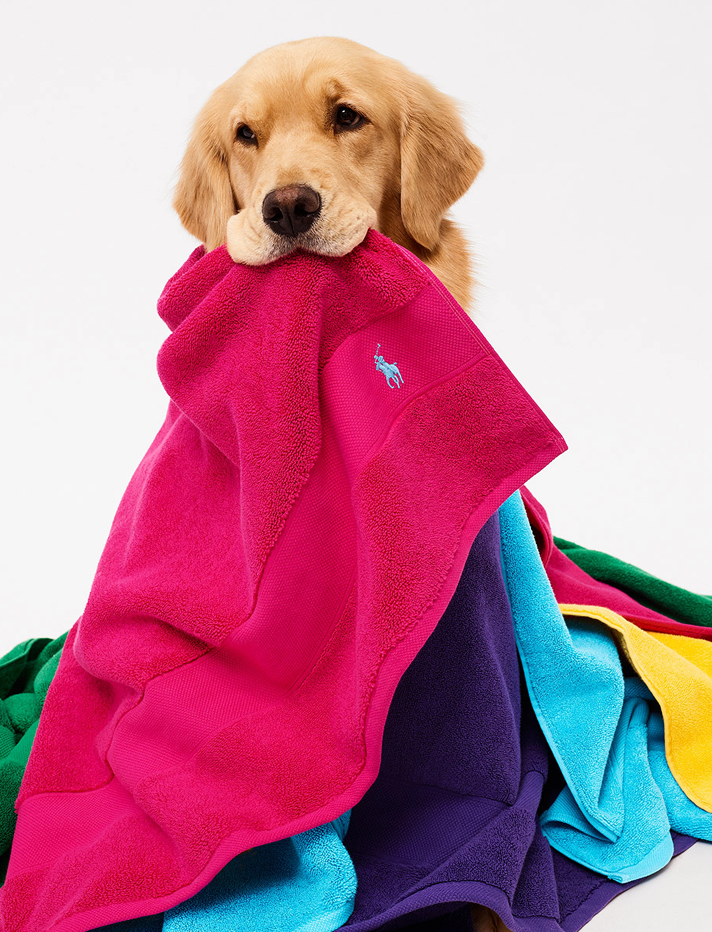 Ralph Lauren Home - POLOPLAY Bath towel - badetücher - pinksky - 3