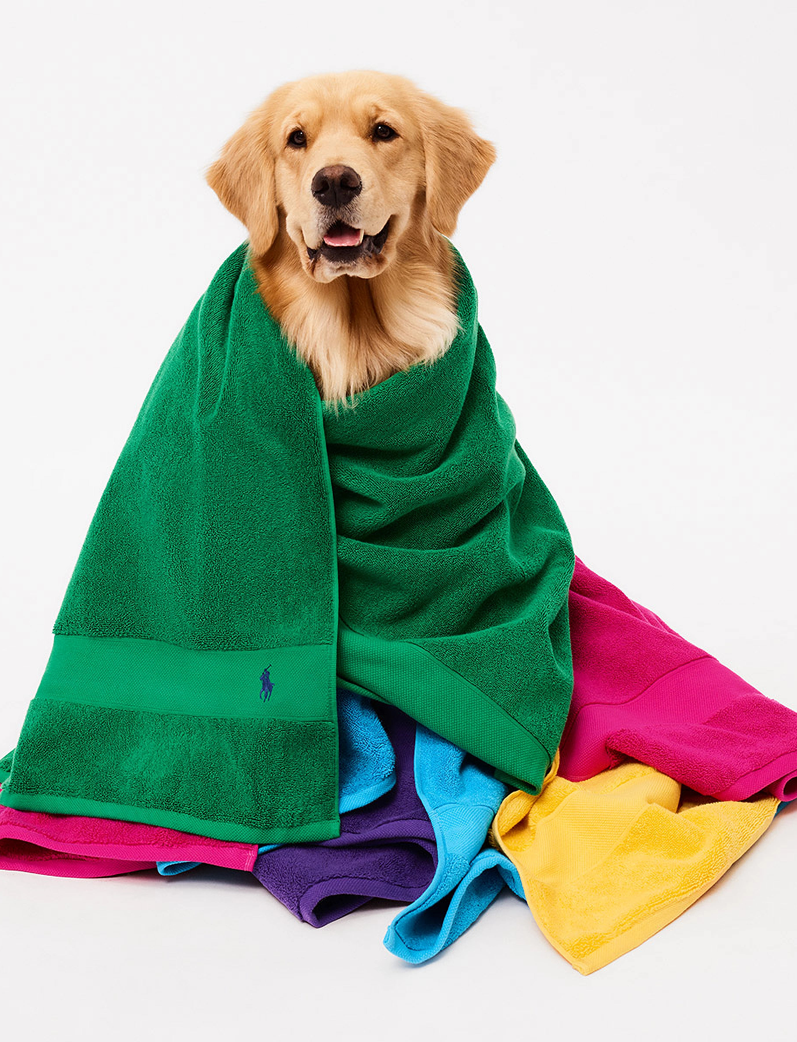 Ralph Lauren Home - POLOPLAY Handtowel - serviettes pour les mains - billiar - 3