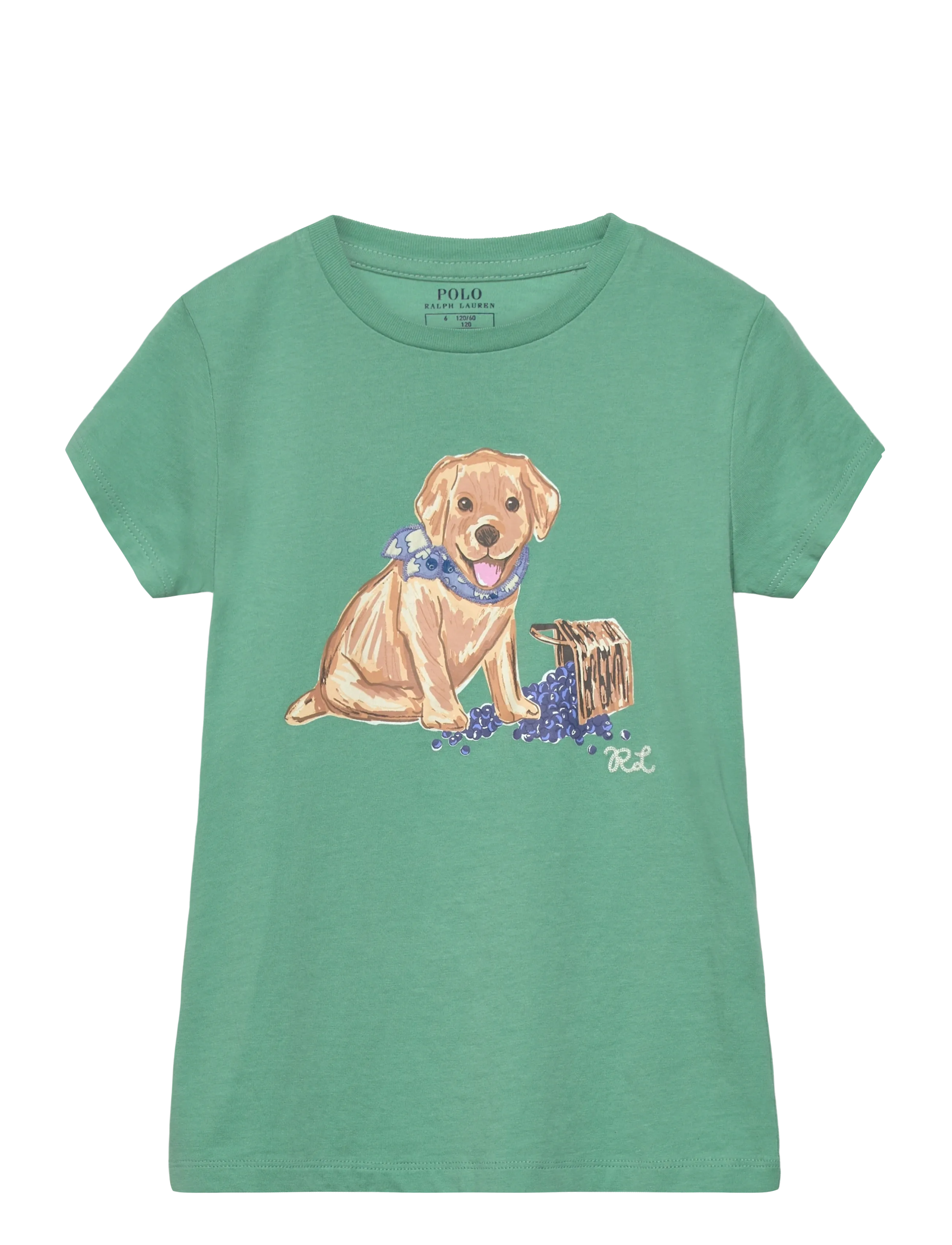 Ralph Lauren Kids Dog-Print Cotton Jersey Tee - 4 for 3 - CELADON / green