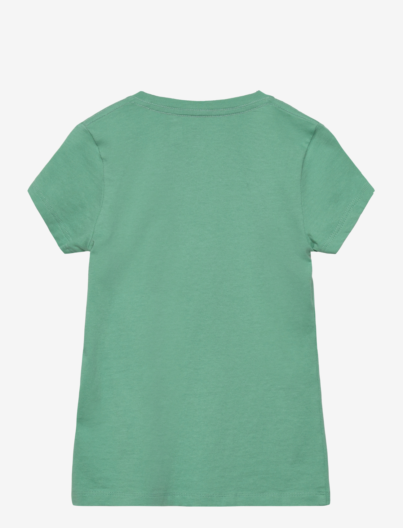 Ralph Lauren Kids - Dog-Print Cotton Jersey Tee - kurzärmelige - celadon - 1