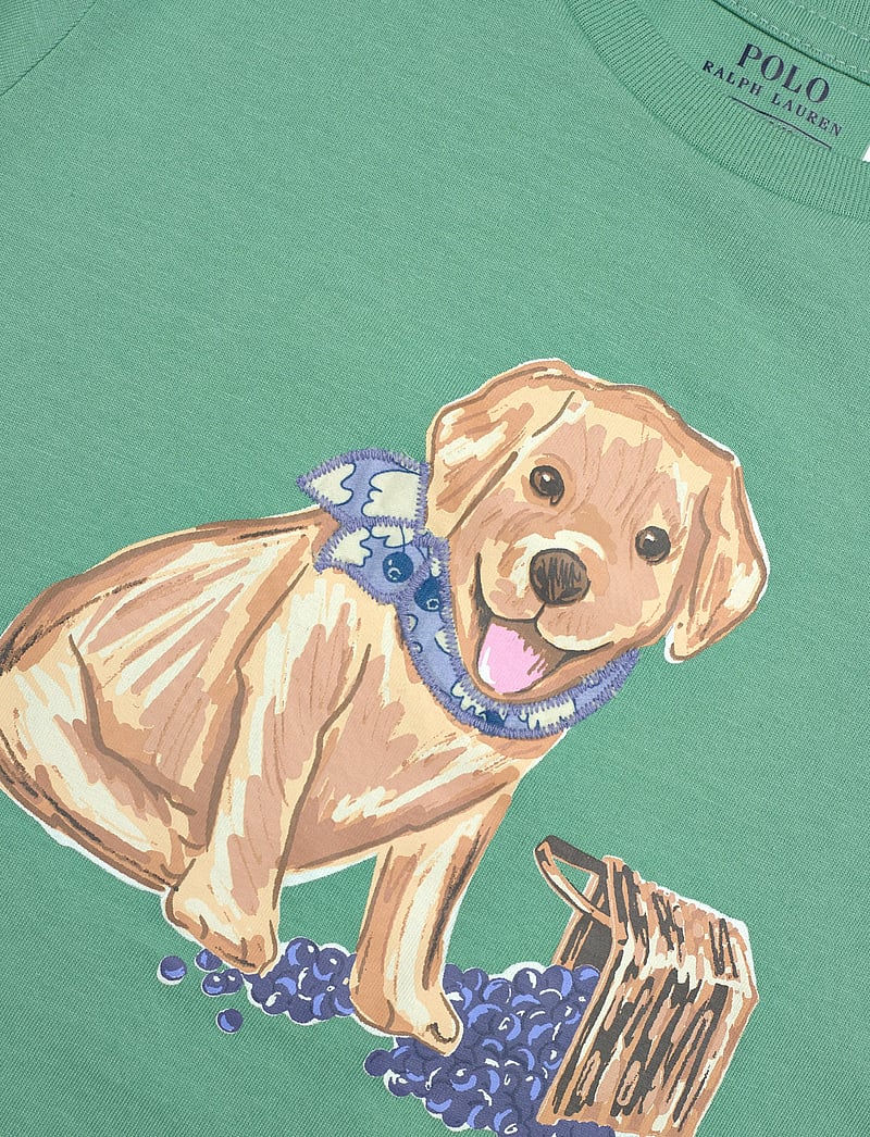 Ralph Lauren Kids - Dog-Print Cotton Jersey Tee - kurzärmelige - celadon - 2