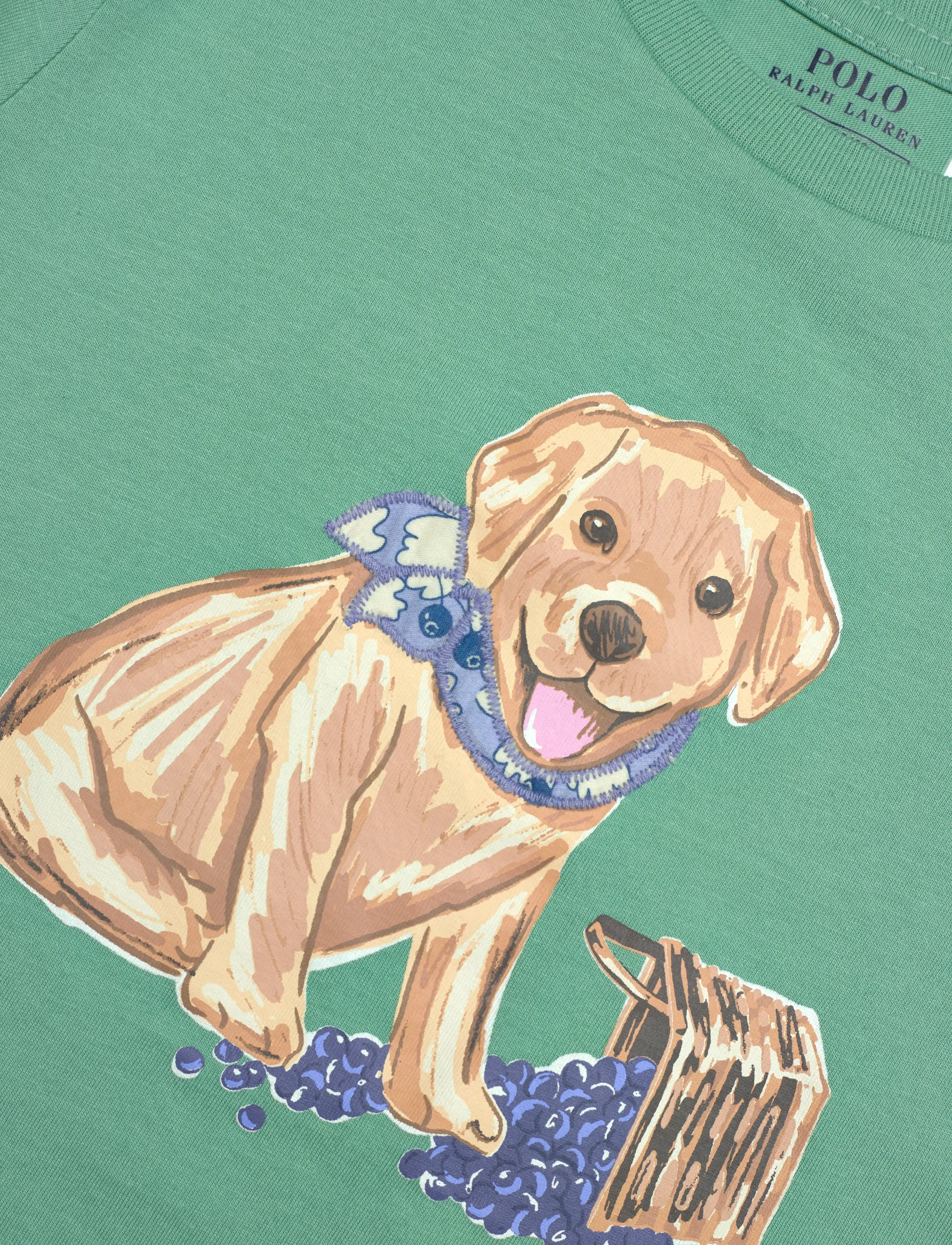Ralph Lauren Kids - Dog-Print Cotton Jersey Tee - t-shirts à manches courtes - celadon - 2