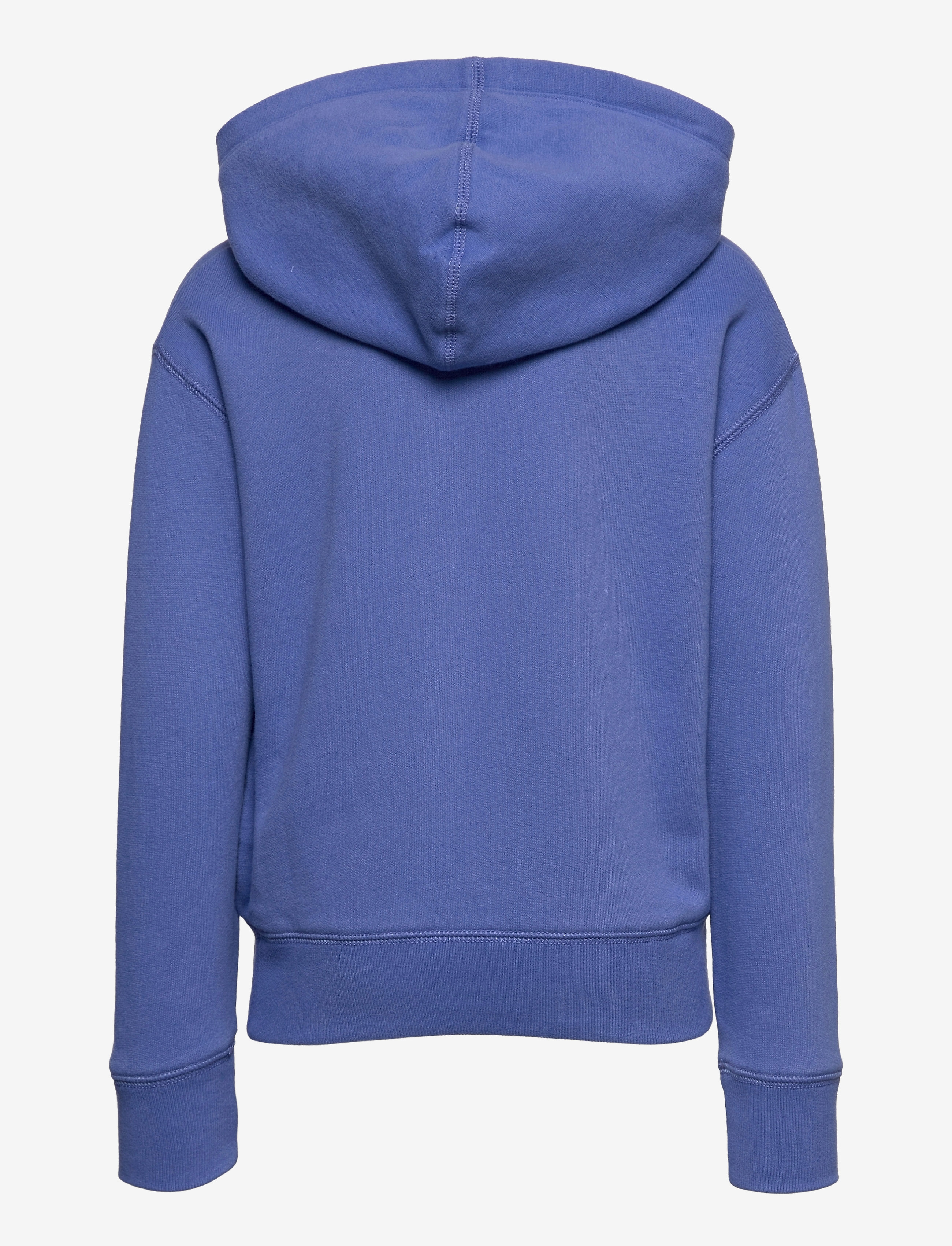 Ralph Lauren Kids - Polo Bear Fleece Hoodie - indigo sky - 1