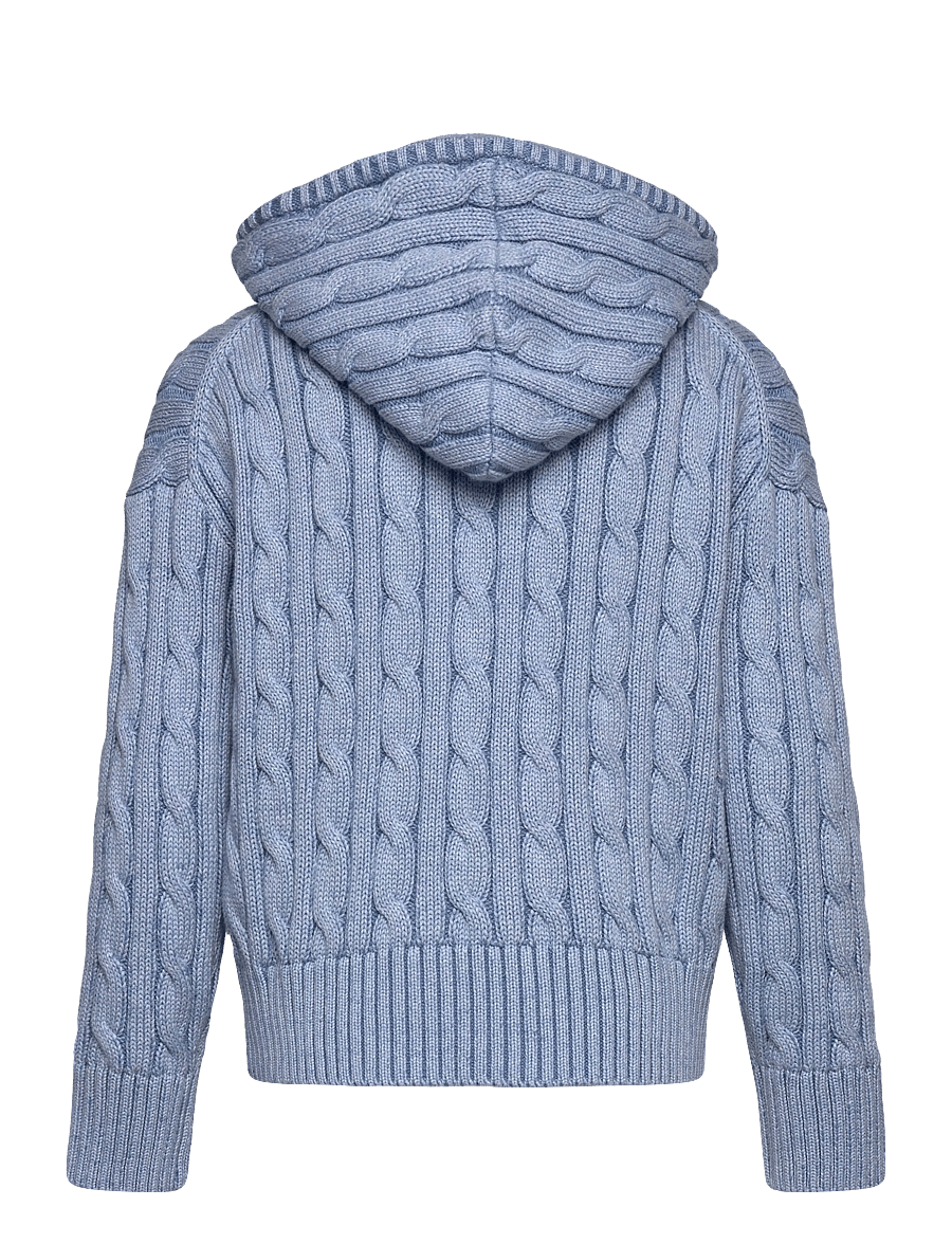 Ralph Lauren Kids - 20/2 COTTON-SWEATER-FULL ZIP - cardigans - blue heather - 1