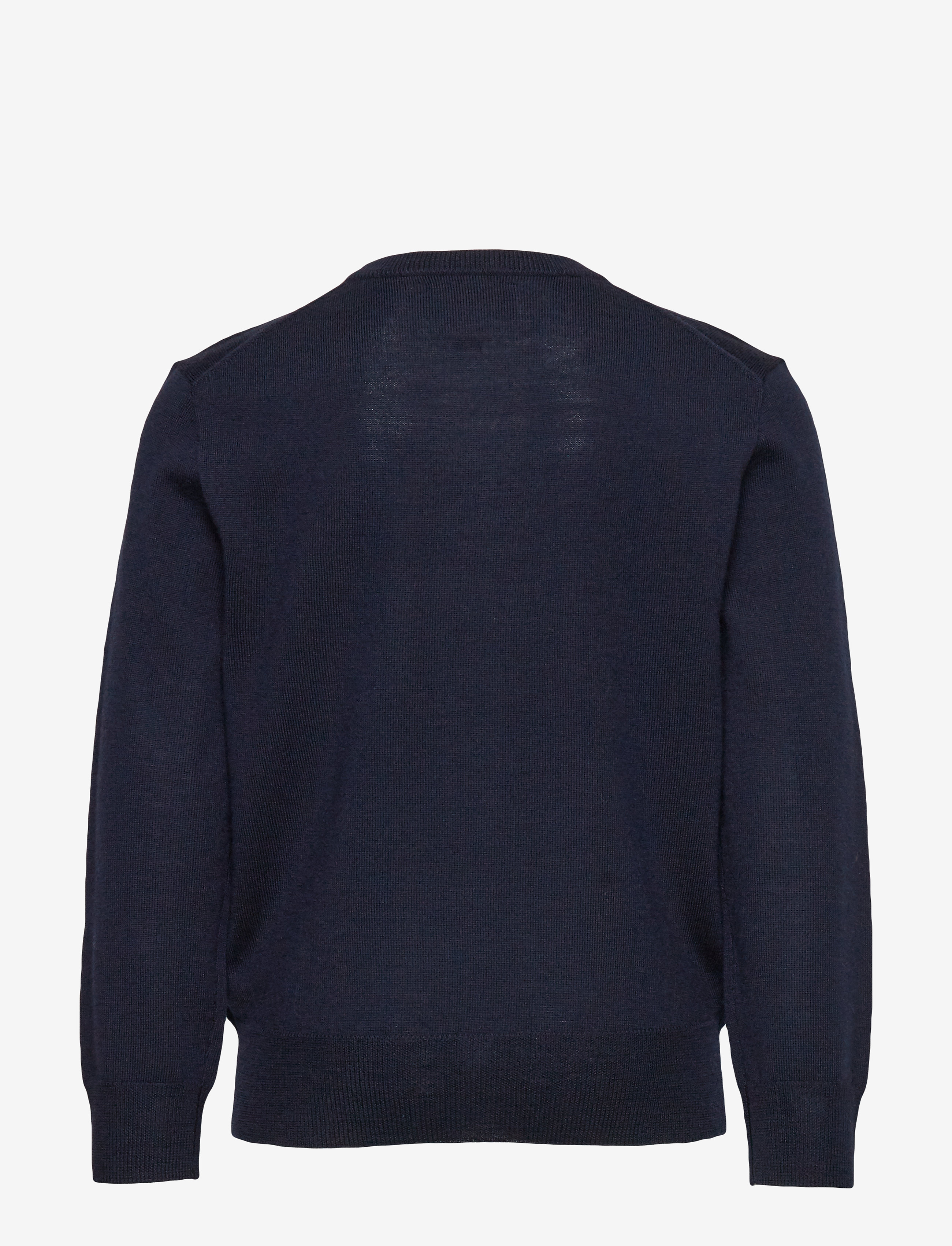 Ralph Lauren Kids - Merino Wool Crewneck Sweater - navy - 1