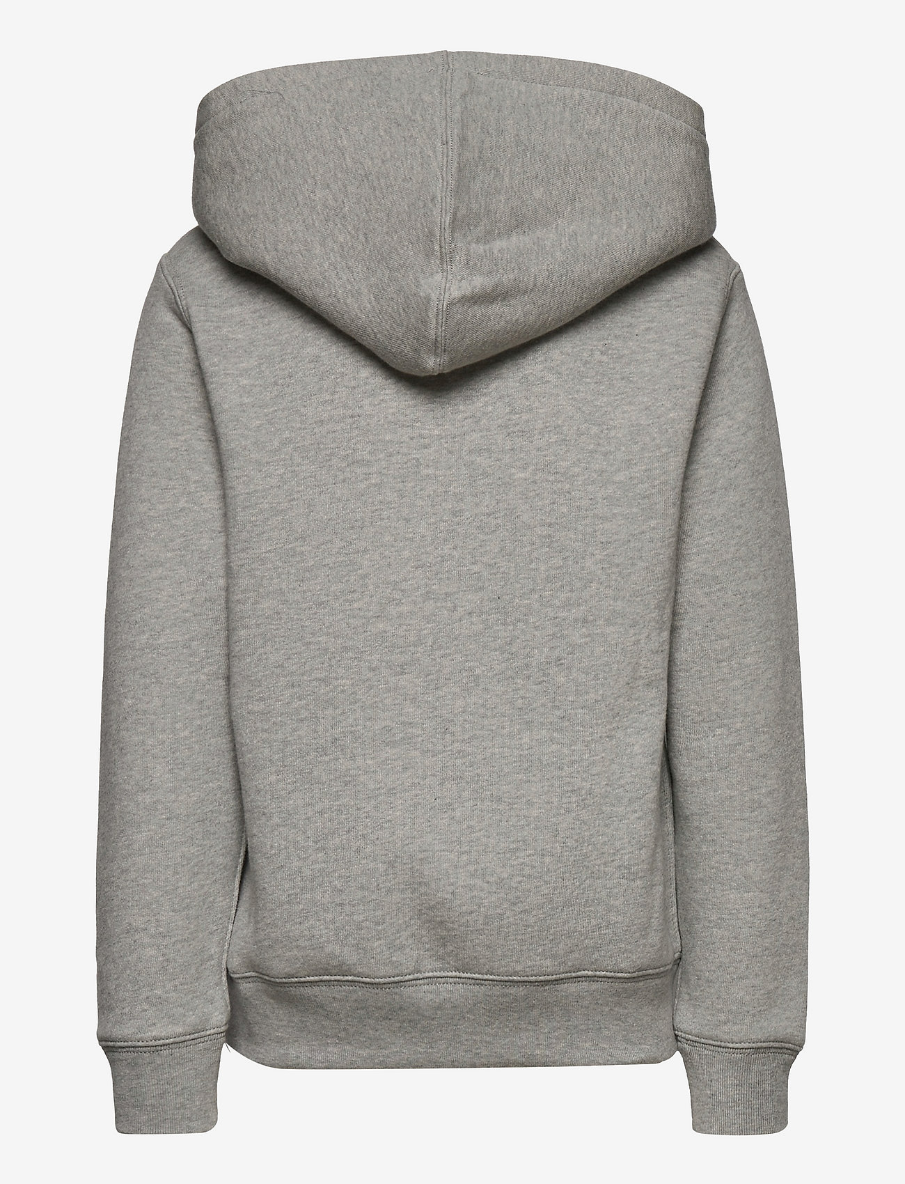 Ralph Lauren Kids - Fleece Hoodie - hættetrøjer - andover heather - 1