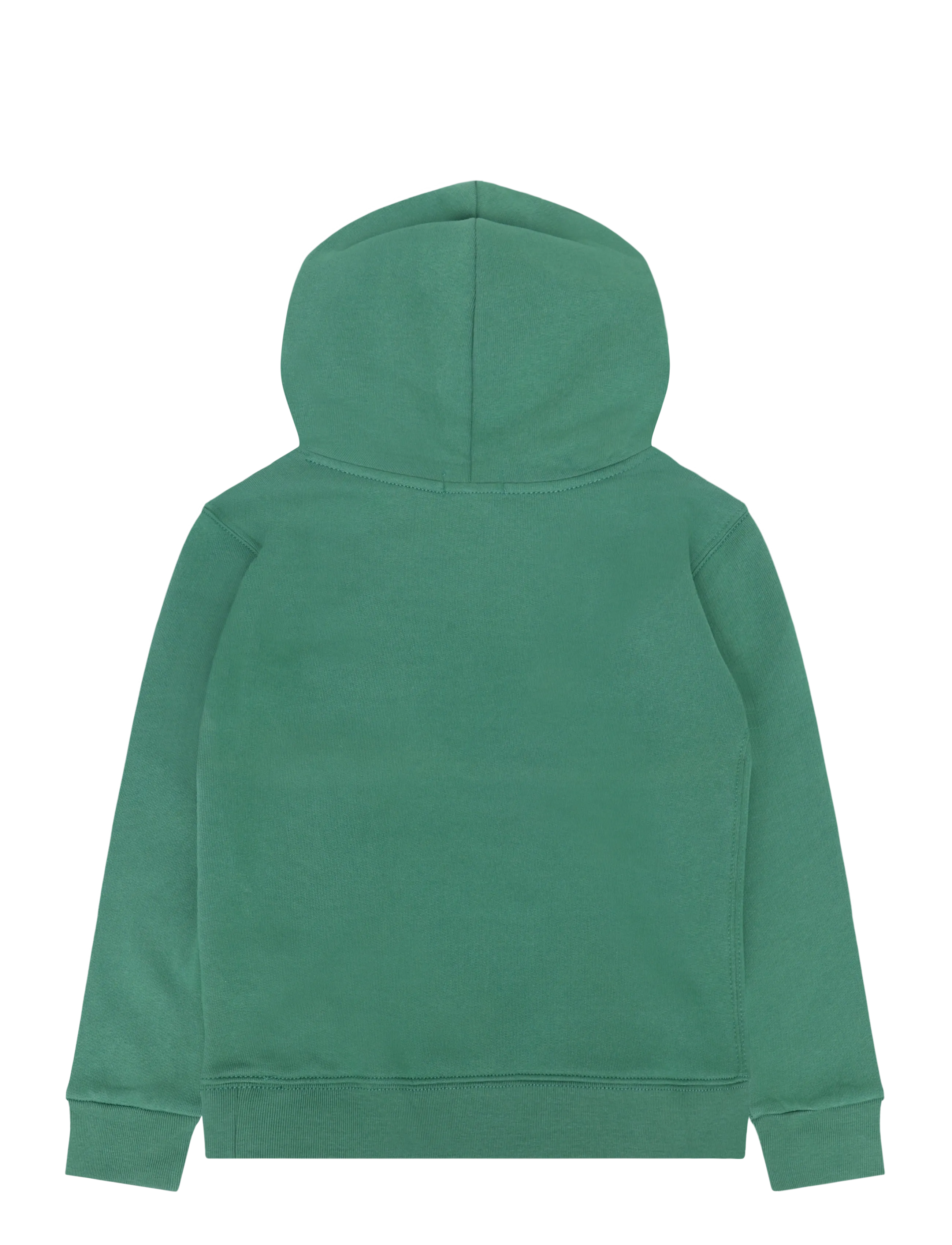 Ralph Lauren Kids - SEASONAL FLEECE-LS PO HOOD-TP-KNT - kapuzenpullover - verano green - 1