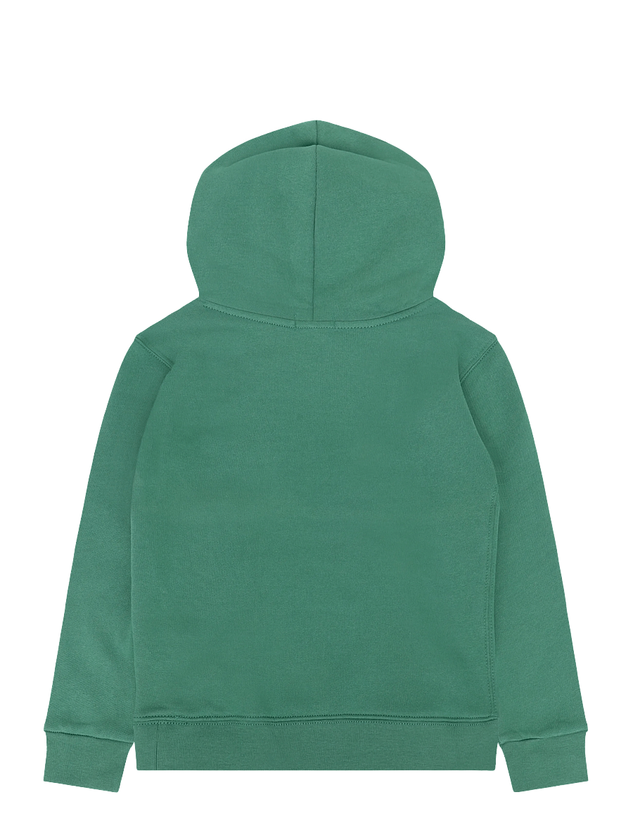 Ralph Lauren Kids - Fleece Hoodie - kapuzenpullover - verano green - 1