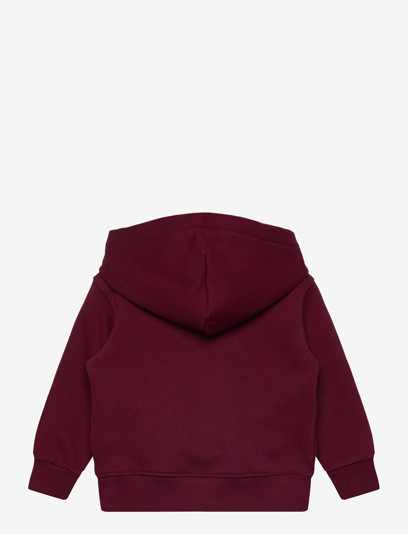 Ralph Lauren Kids - Polo Bear Fleece Hoodie - kapuutsiga dressipluusid - fa25 bear classic - 2