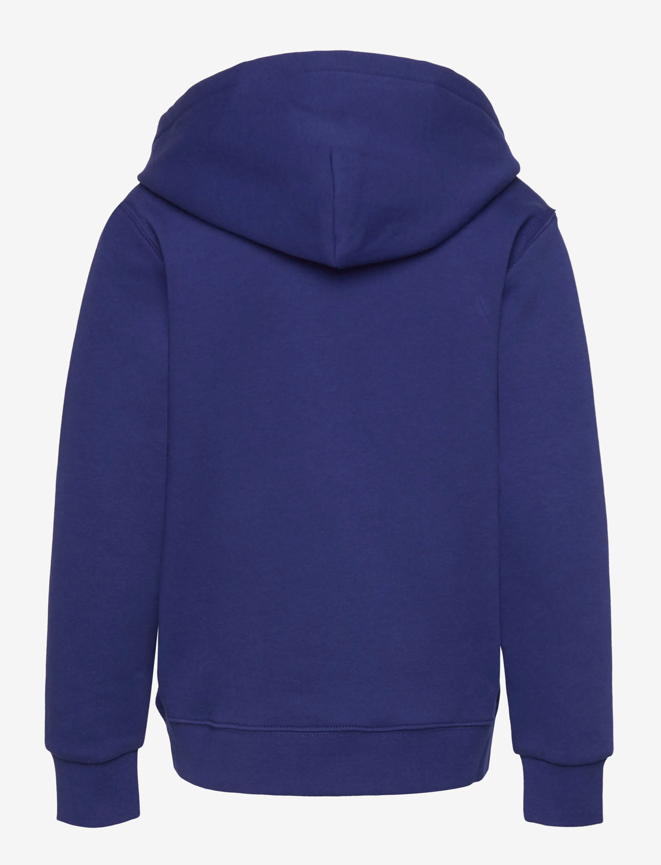 Ralph Lauren Kids - Polo Bear Fleece Hoodie - hoodies - hol25 bear fall r - 2