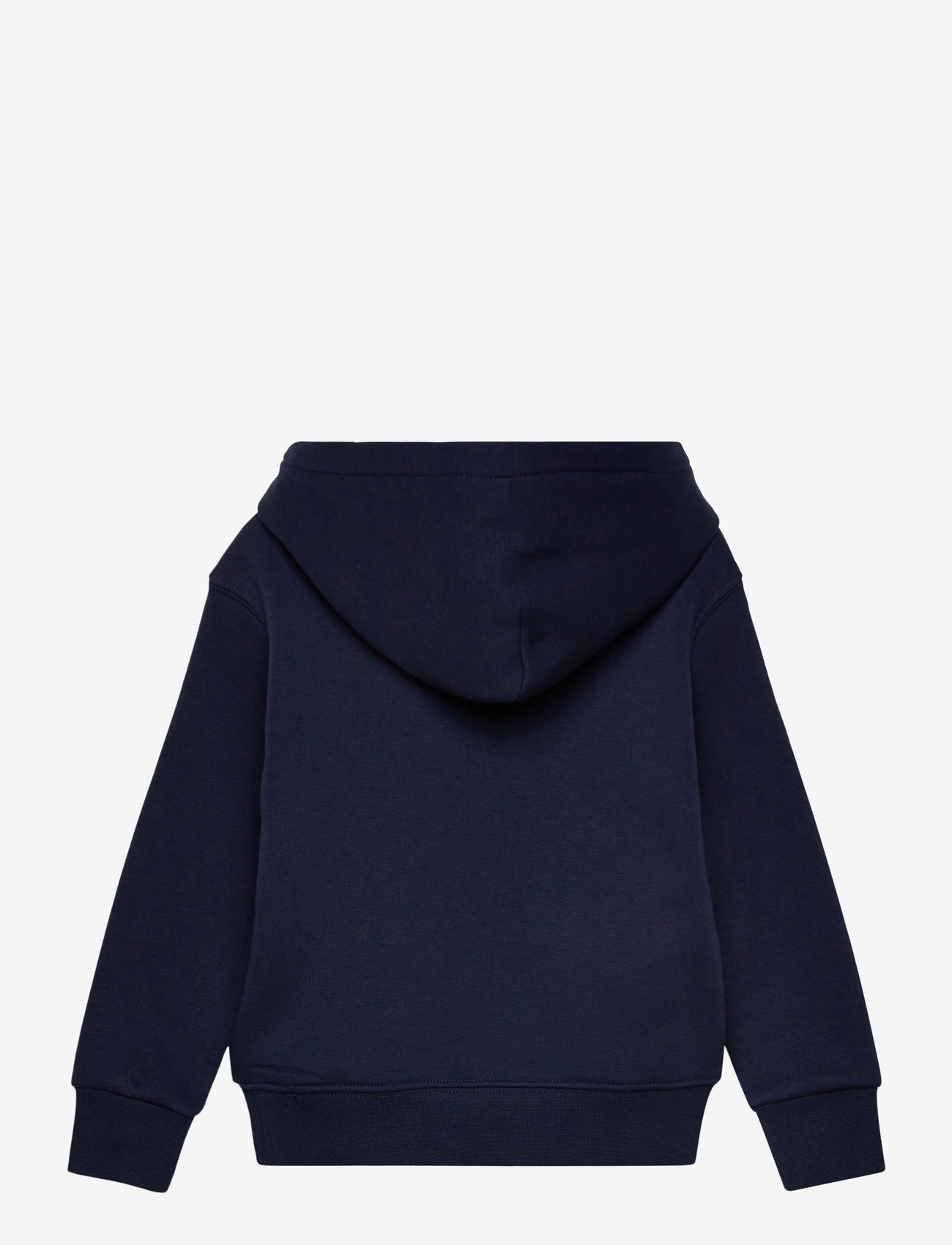 Ralph Lauren Kids - GRAPHIC FLEECE-KNT-SWEATSHIRT - hættetrøjer - cruise navy core - 1