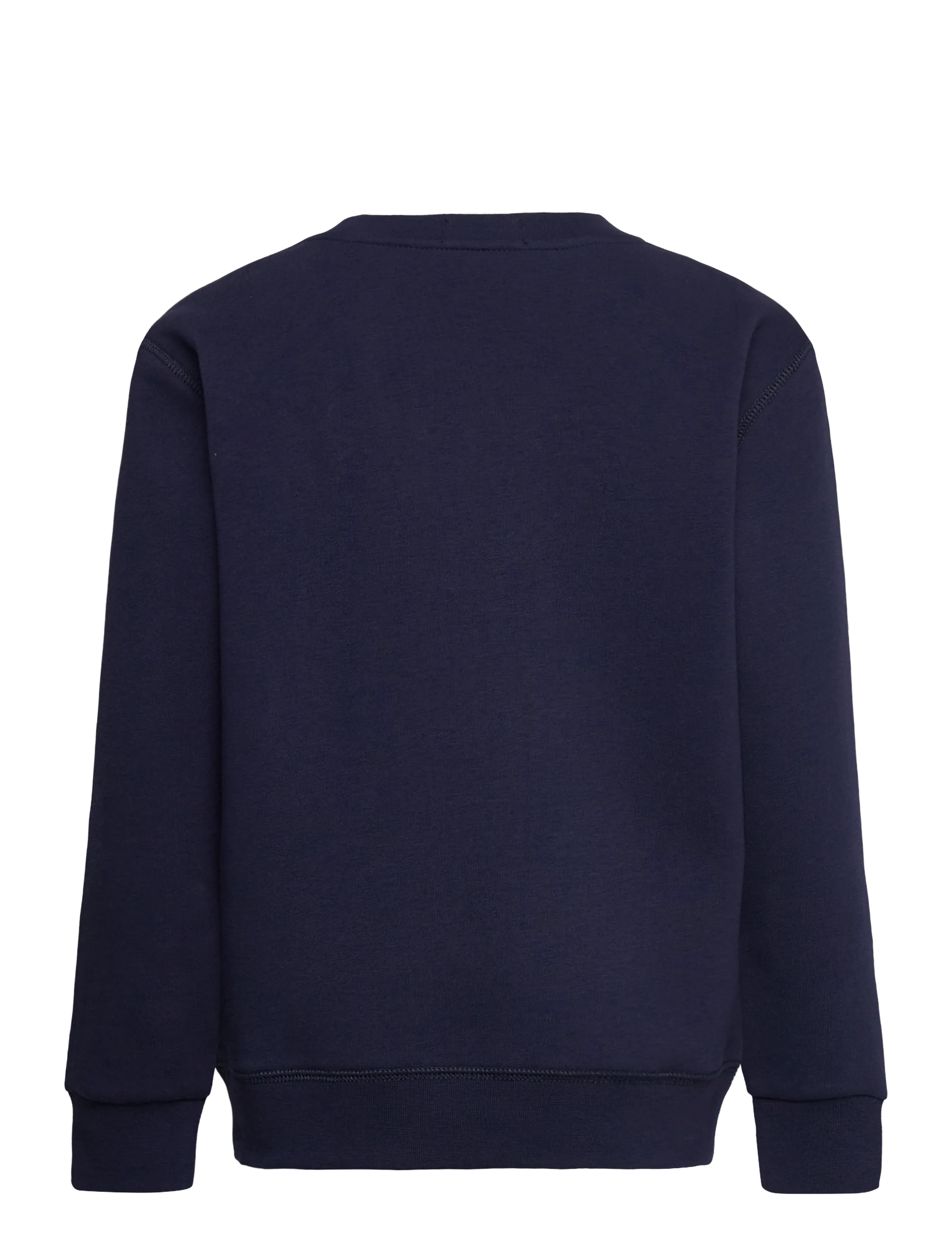 Ralph Lauren Kids - Polo Bear Fleece Sweatshirt - sweatshirts - sp26 bear newport - 1