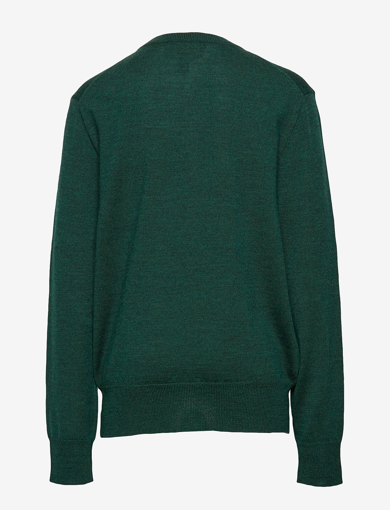 Ralph Lauren Kids - Merino Wool Crewneck Sweater - forest green heat - 1