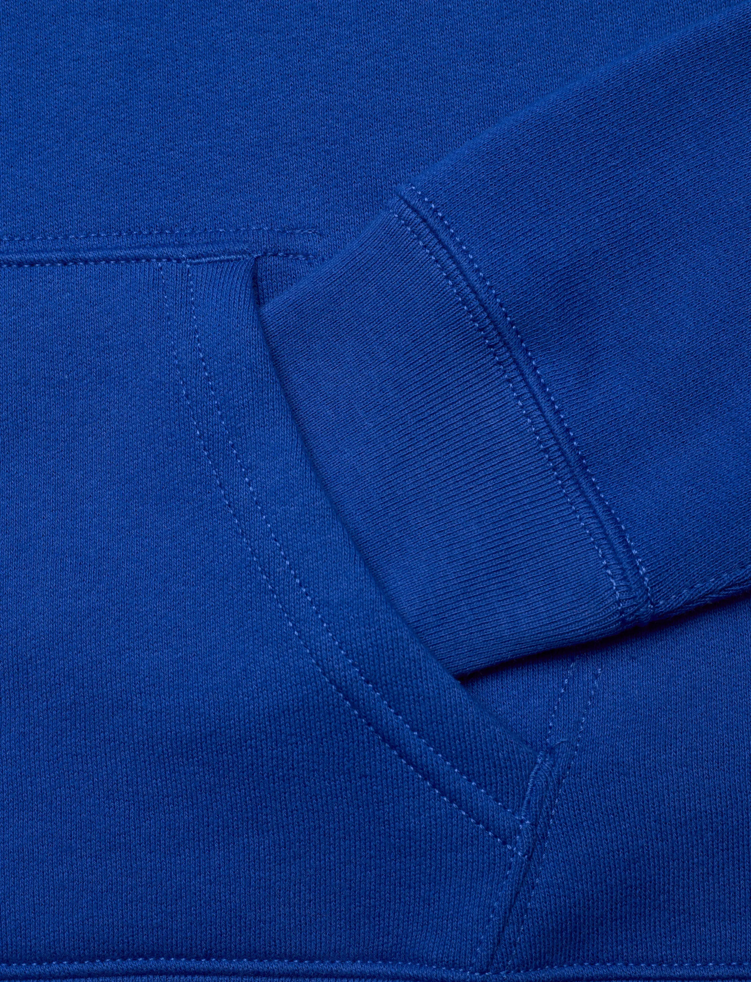 Ralph Lauren Kids - Fleece Hoodie - džemperiai su gobtuvu - new sapphire/c613 - 3