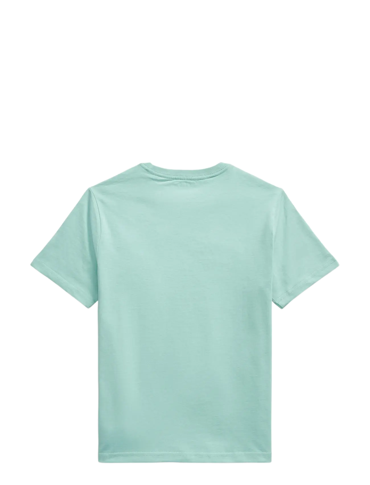 Ralph Lauren Kids - Cotton Jersey Crewneck Tee - short-sleeved t-shirts - celadon/c1168 - 1