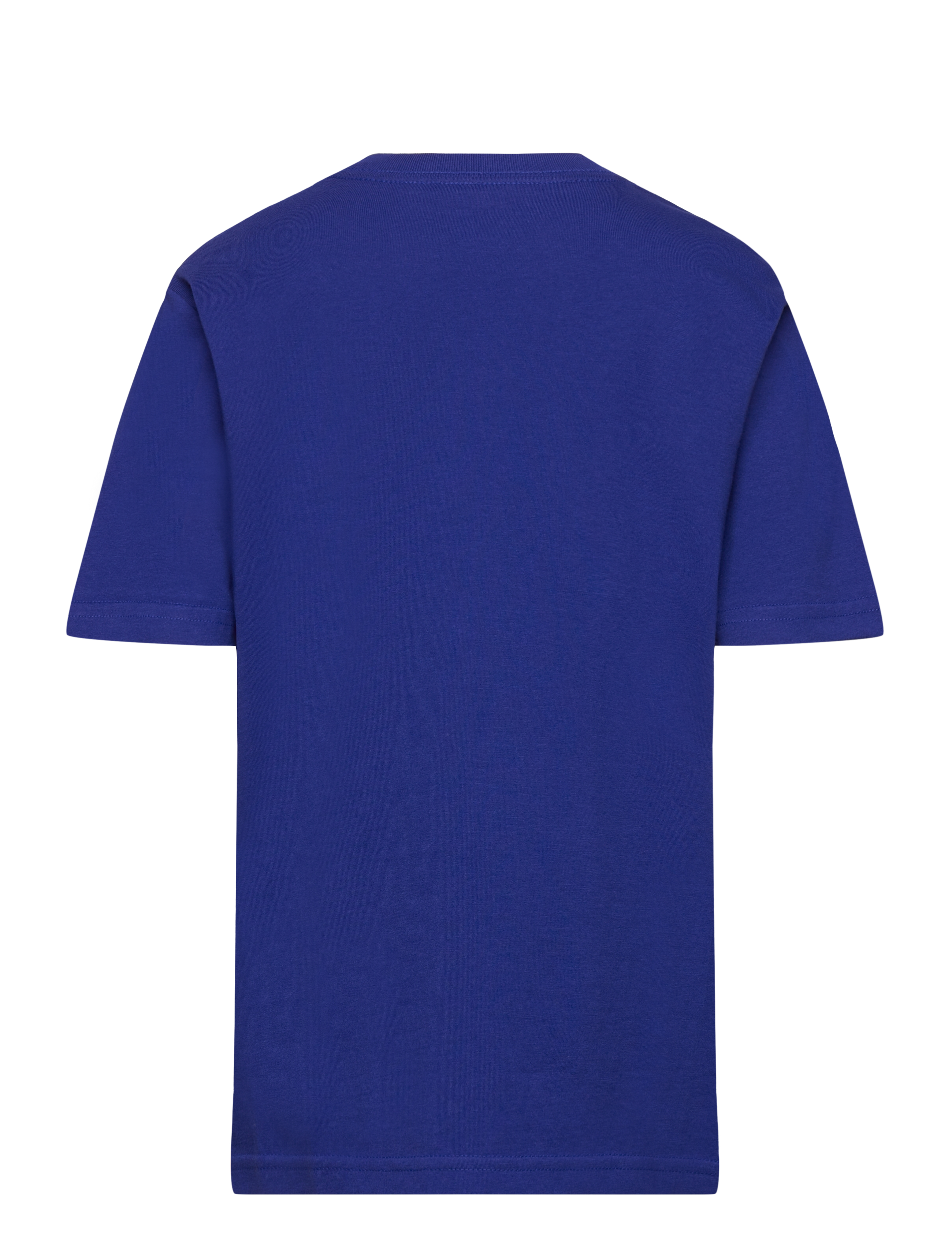 Ralph Lauren Kids - Cotton Jersey Crewneck Tee - city royal - 1