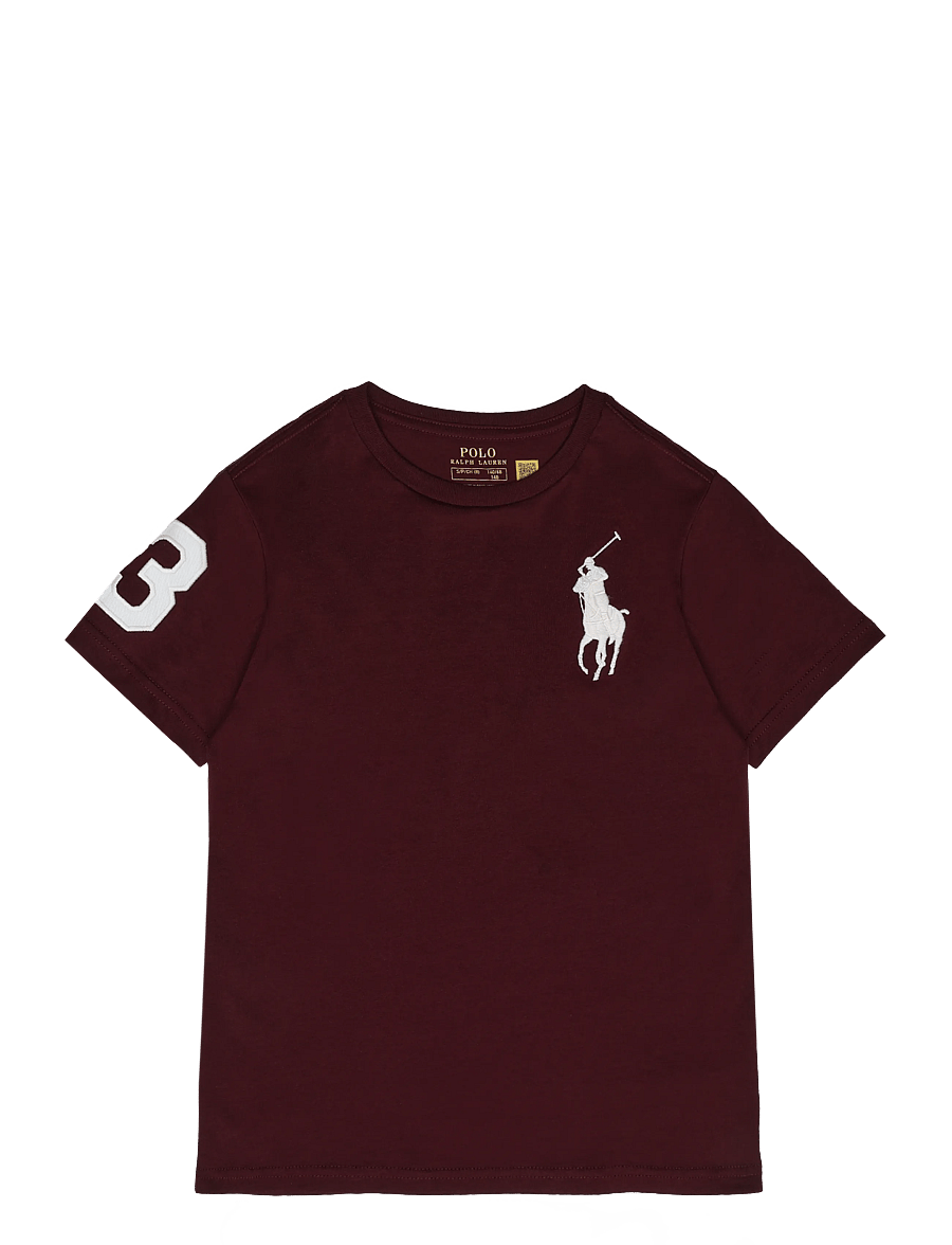 Ralph Lauren Kids - Big Pony Cotton Jersey Tee - lühikeste varrukatega t-särgid - rich ruby/c8154 - 0