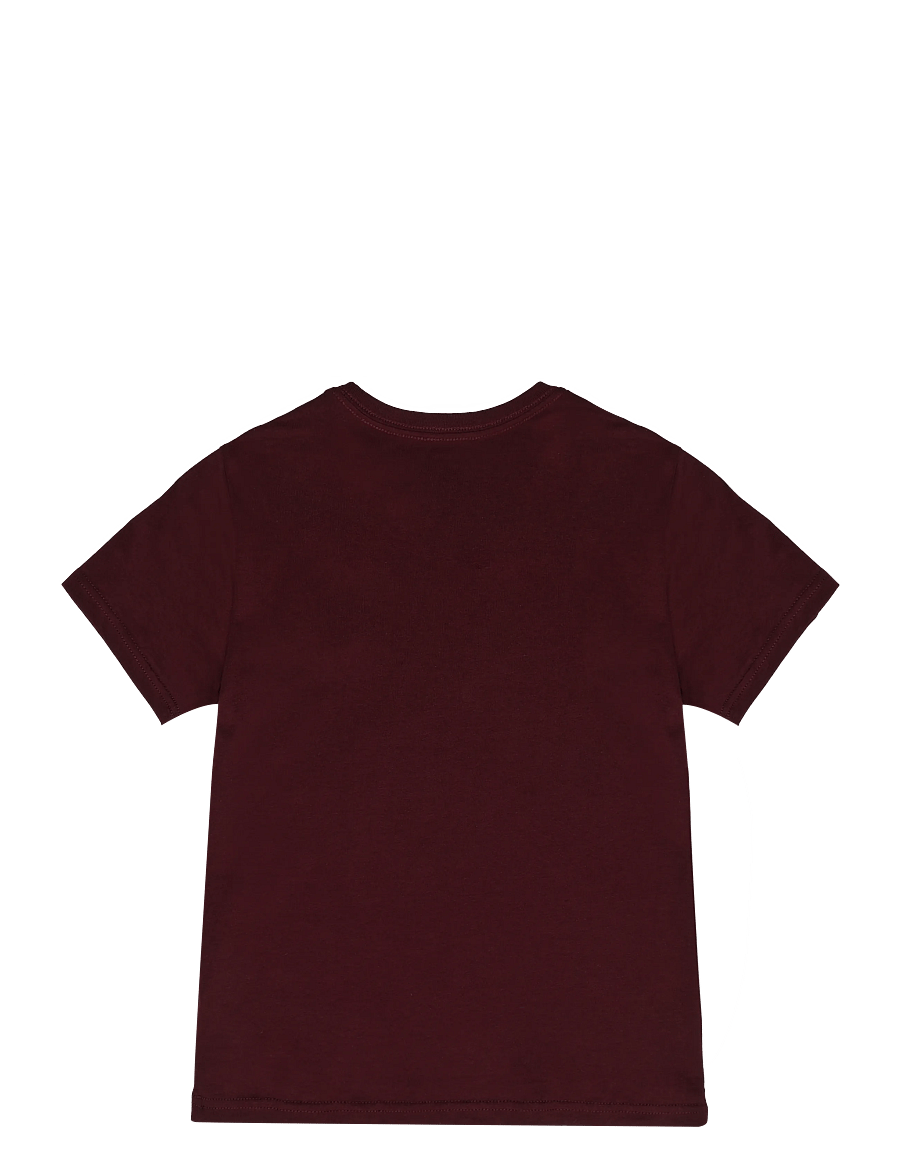 Ralph Lauren Kids - Big Pony Cotton Jersey Tee - lühikeste varrukatega t-särgid - rich ruby/c8154 - 1