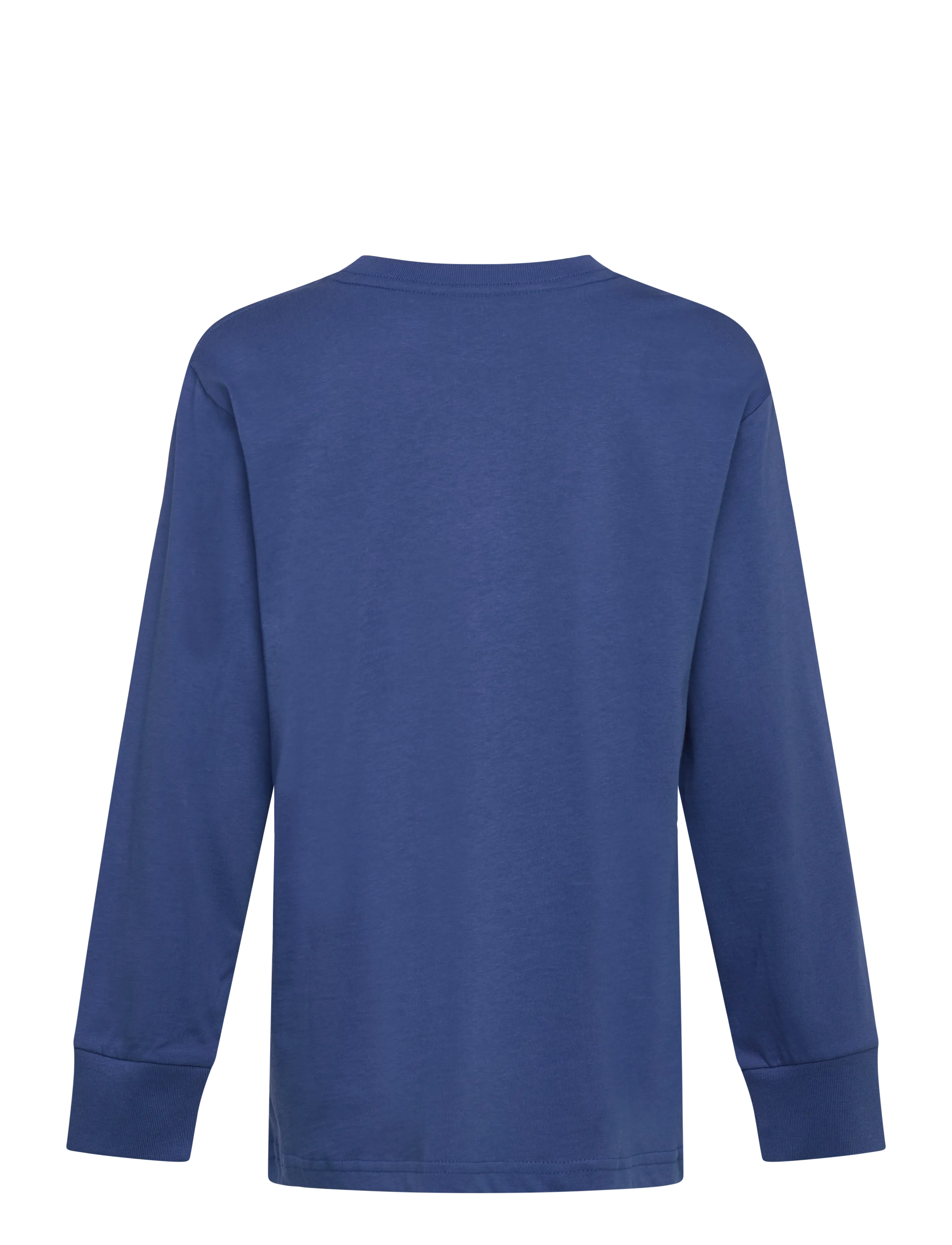Ralph Lauren Kids - 26/1 JERSEY-LS CN-TP-TSH - dusty azure/c1268 - 1
