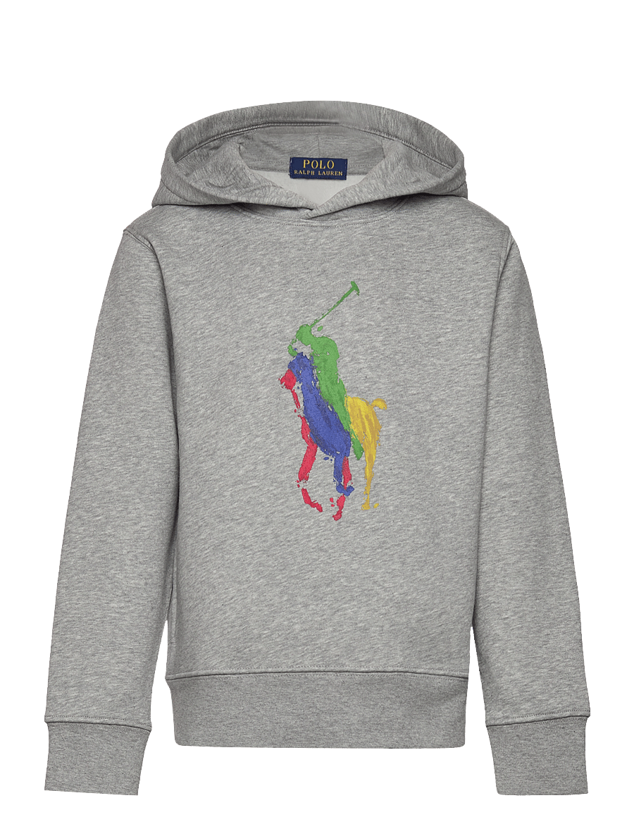 Ralph Lauren Kids - Big Pony Fleece Hoodie - andover heather - 0