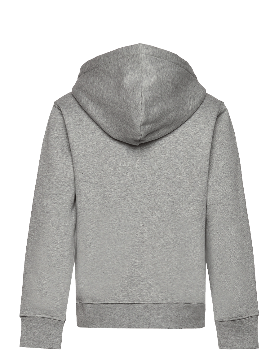 Ralph Lauren Kids - Big Pony Fleece Hoodie - andover heather - 1