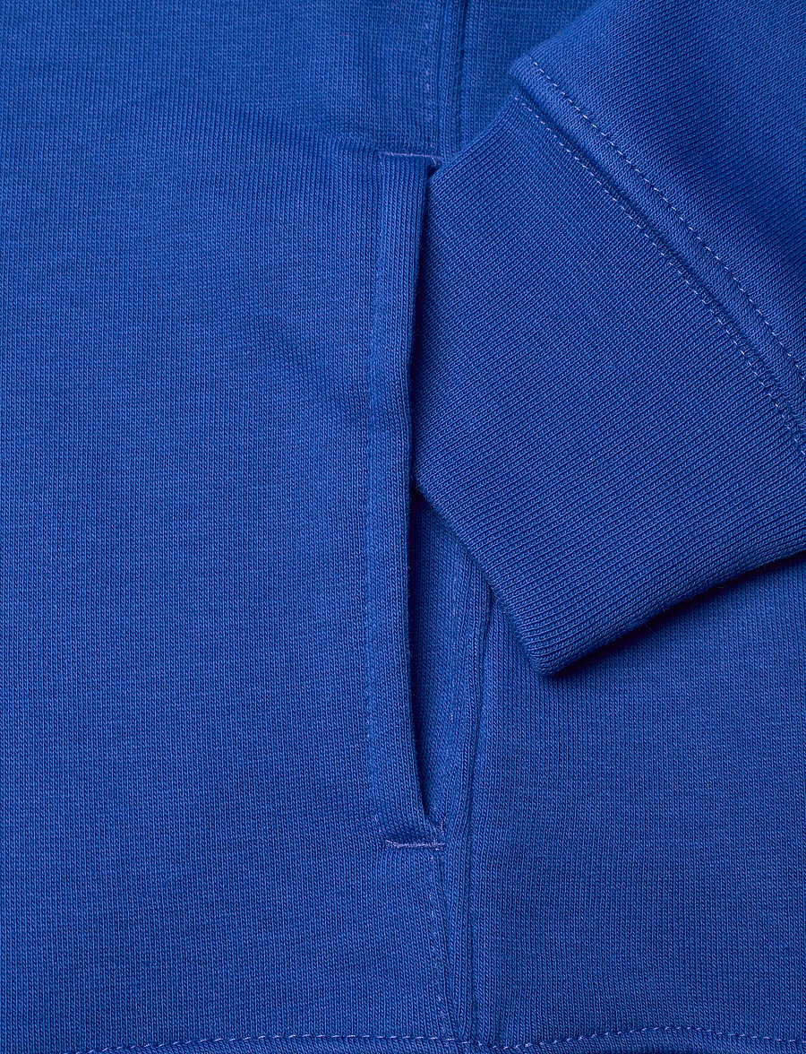 Ralph Lauren Kids - Big Pony Fleece Hoodie - sapphire star - 3
