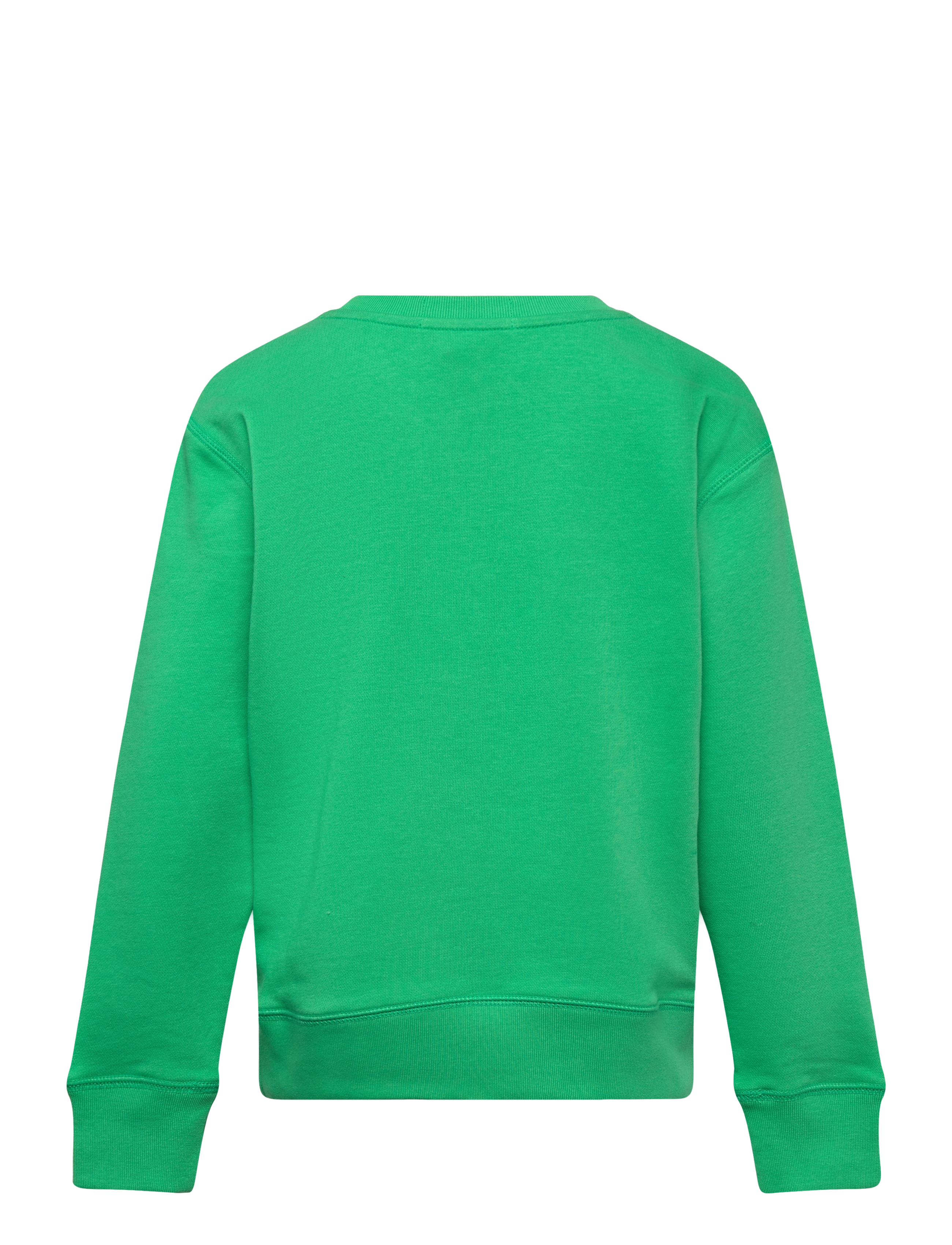 Ralph Lauren Kids - EASY FRENCH TERRY-LS CN M3-KN-SWS - plato green - 1