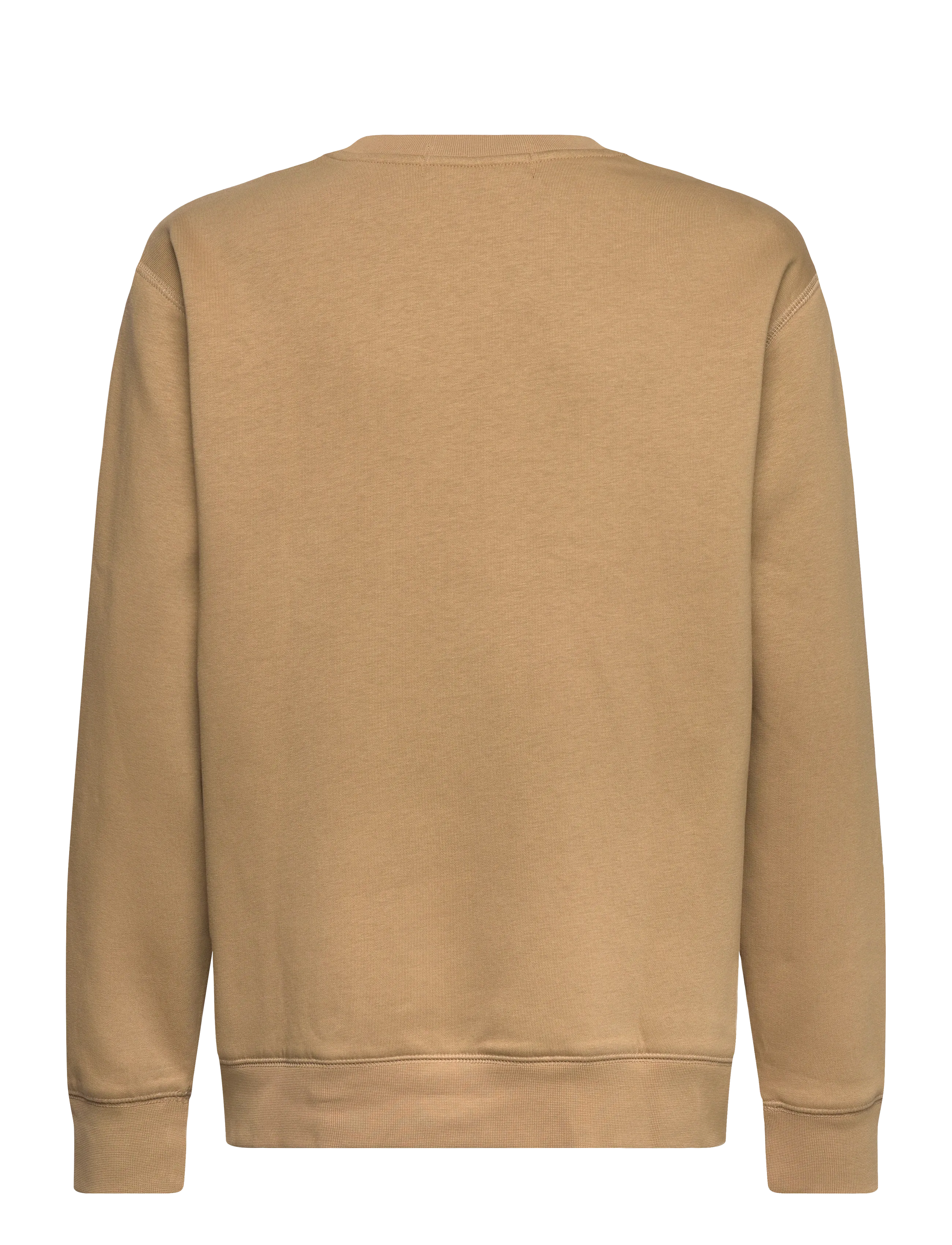 Ralph Lauren Kids - Polo Sport Fleece Sweatshirt - desert khaki - 1