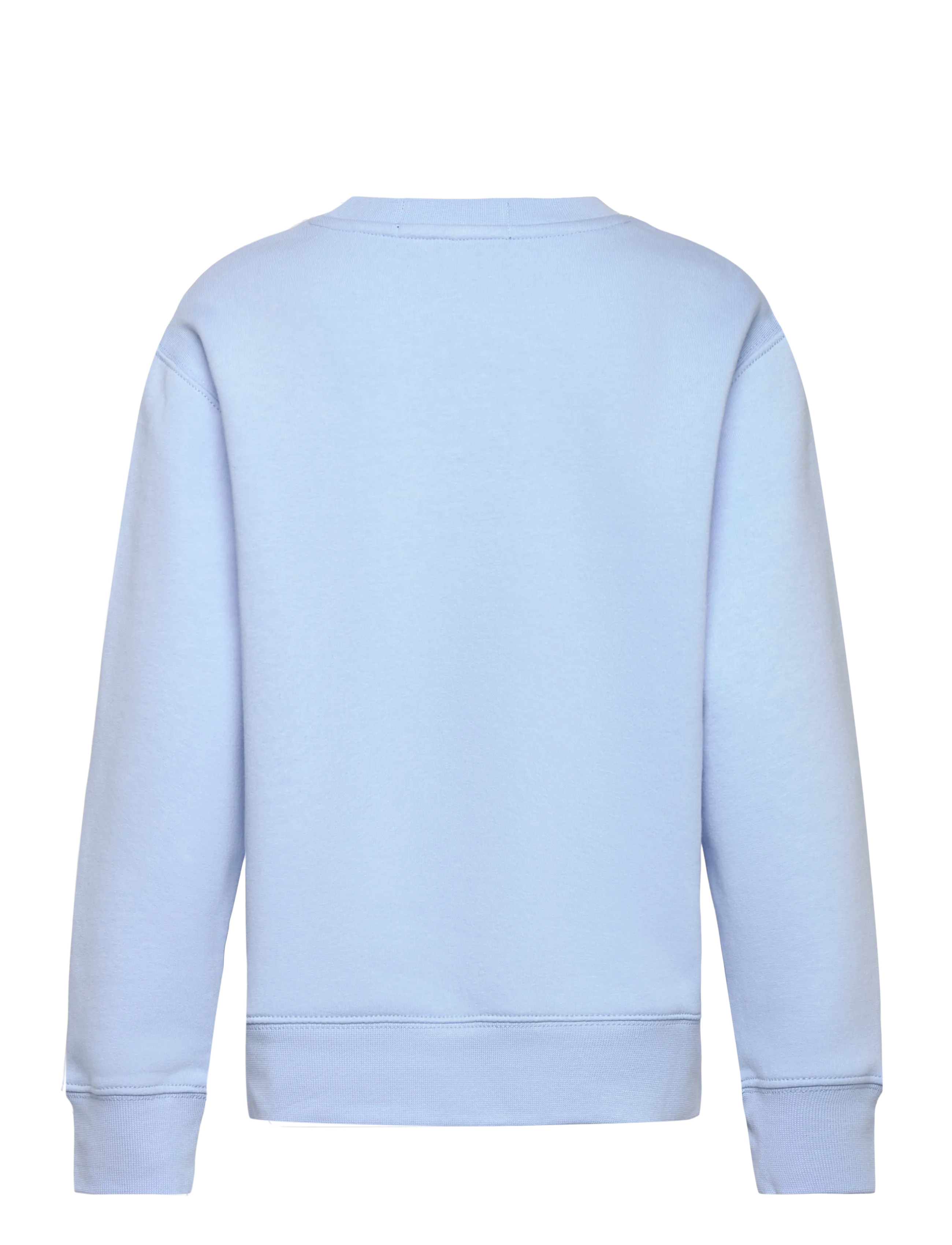 Ralph Lauren Kids - GRAPHIC FLEECE-LS CN-KN-SWS - bluebell - 1