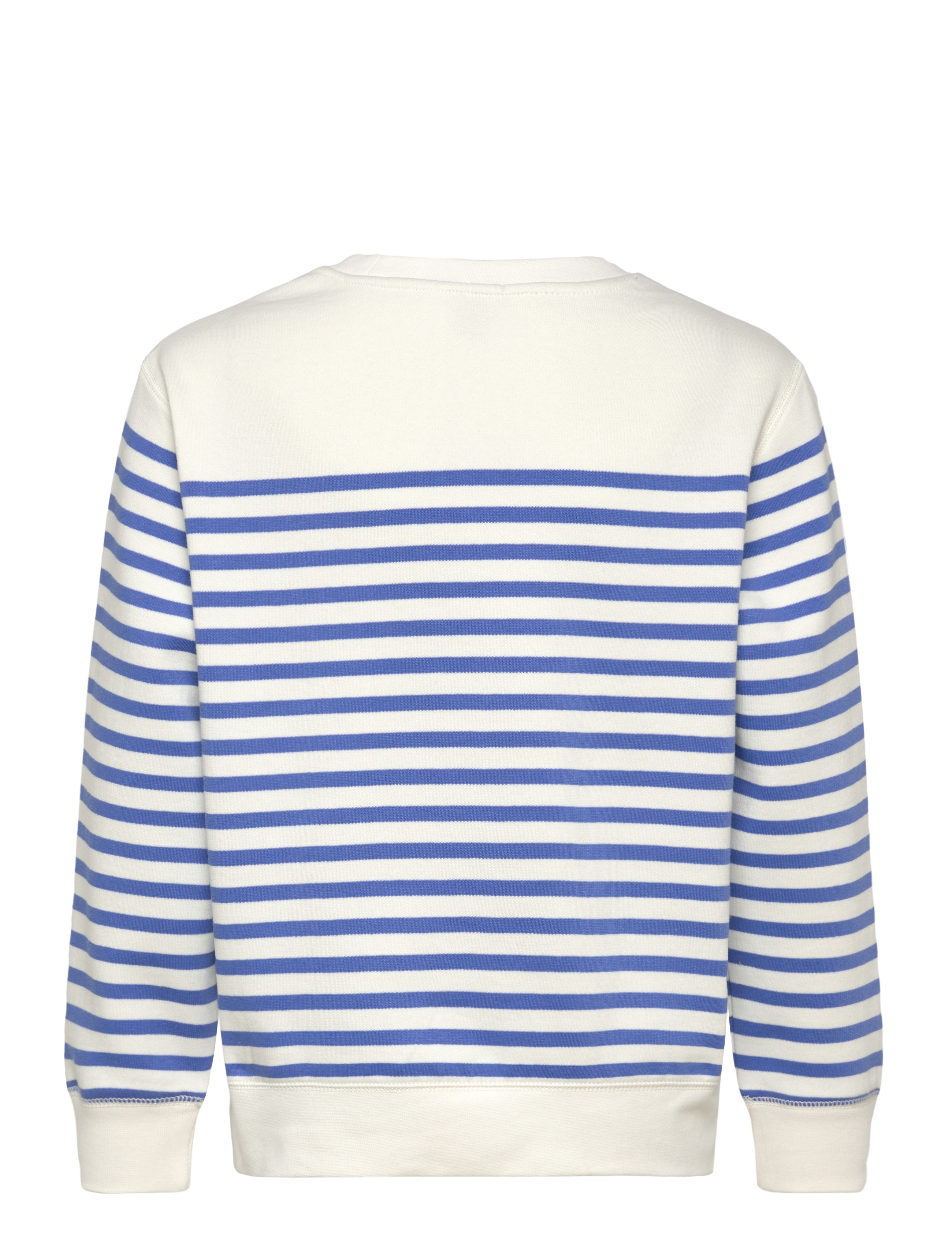 Ralph Lauren Kids - YD GRAPHIC FLEECE-PO CN-KN-SWS - sp25 nevis/scotts - 1