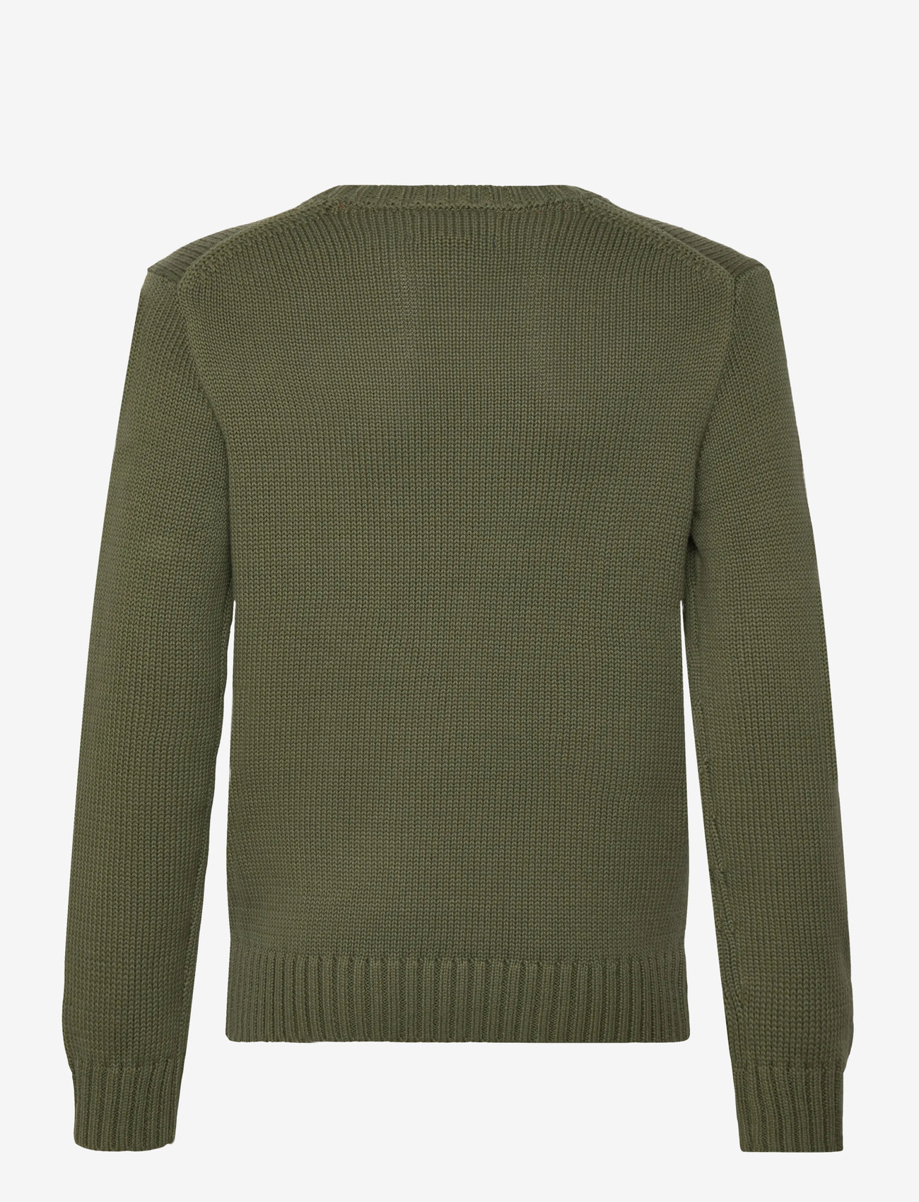 Ralph Lauren Kids - Cotton Crewneck Sweater - pullover - mint olive/c8702 - 1