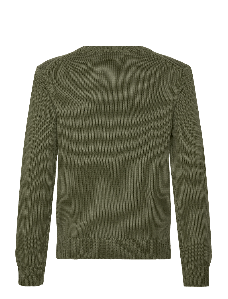 Ralph Lauren Kids - Cotton Crewneck Sweater - pullover - mint olive/c8702 - 1