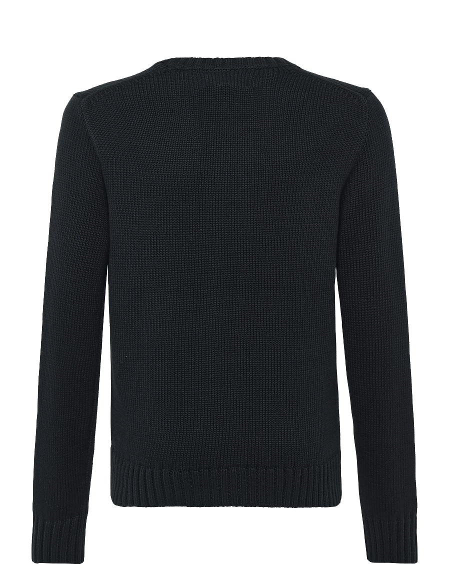 Ralph Lauren Kids - 20/2 COTTON-LS CN-SV-PLO - pullover - polo black - 1