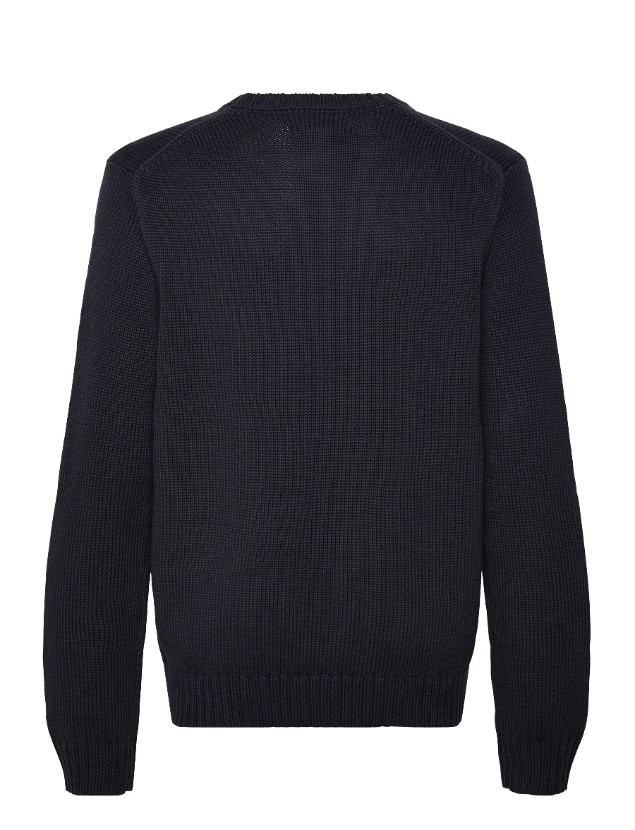 Ralph Lauren Kids - 20/2 COTTON-LS CN-SV-PLO - trøjer - rl navy/c3807 - 1