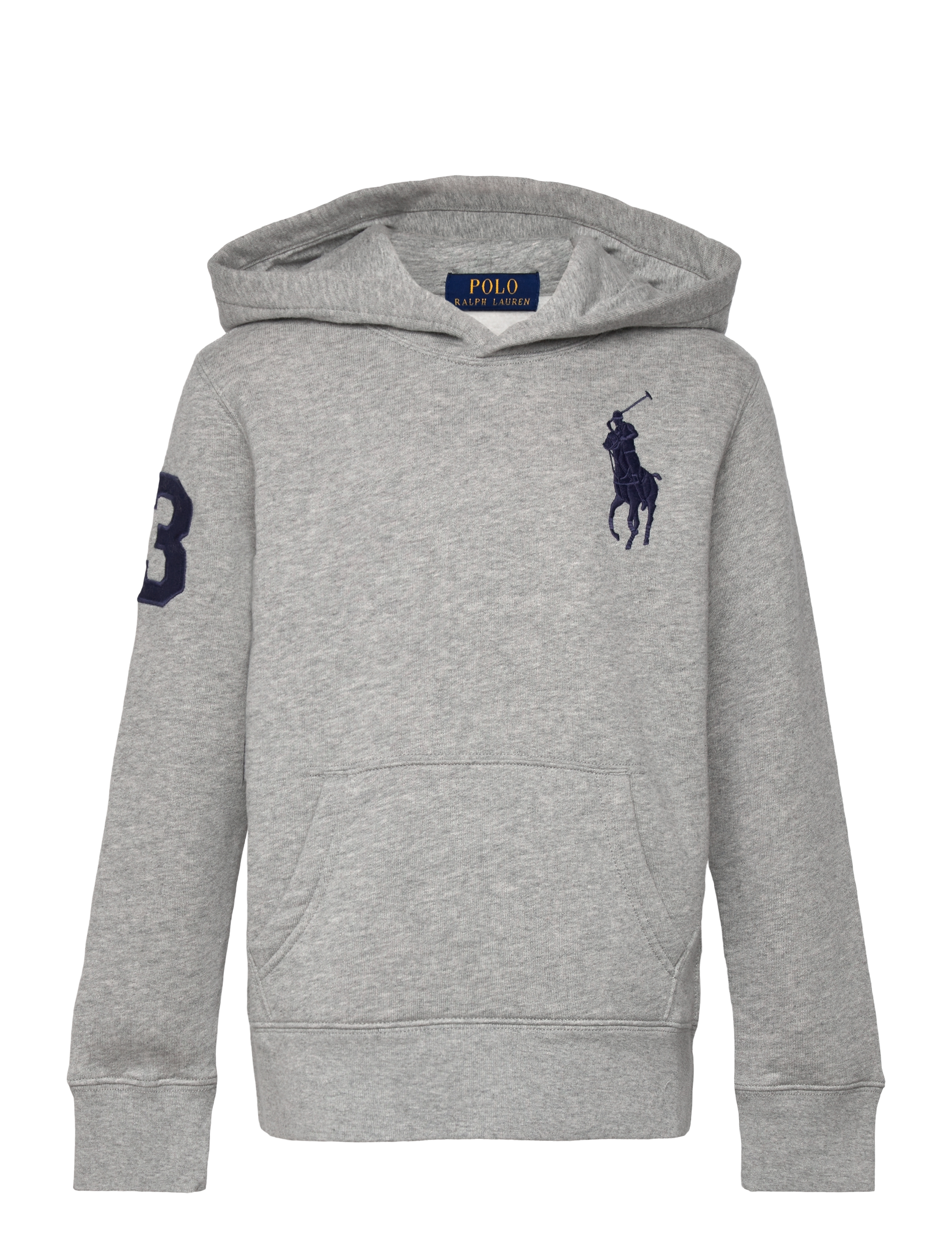Ralph Lauren Kids SEASONAL FLEECE-KNT-SWEATSHIRT - Tops - ANDOVER HEATHER/C / grey