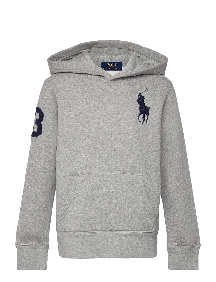 Ralph Lauren Kids - SEASONAL FLEECE-KNT-SWEATSHIRT - kapuzenpullover - andover heather/c - 1