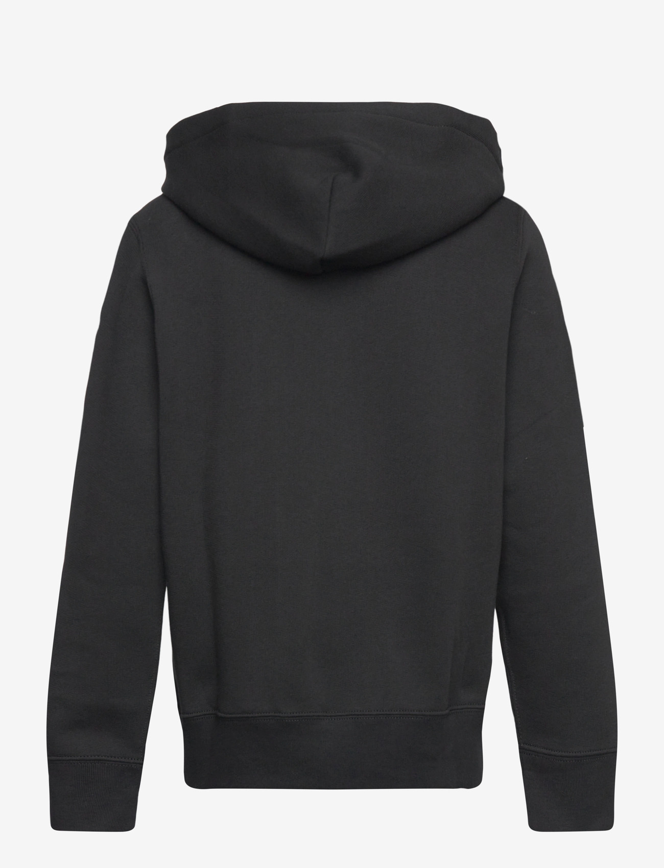 Ralph Lauren Kids - Big Pony Fleece Hoodie - kapuzenpullover - polo black/c1730 - 1