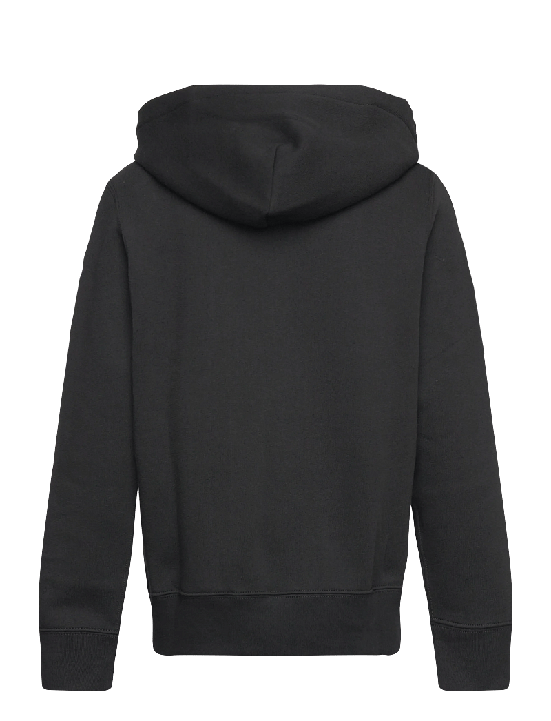 Ralph Lauren Kids - Big Pony Fleece Hoodie - kapuzenpullover - polo black/c1730 - 1