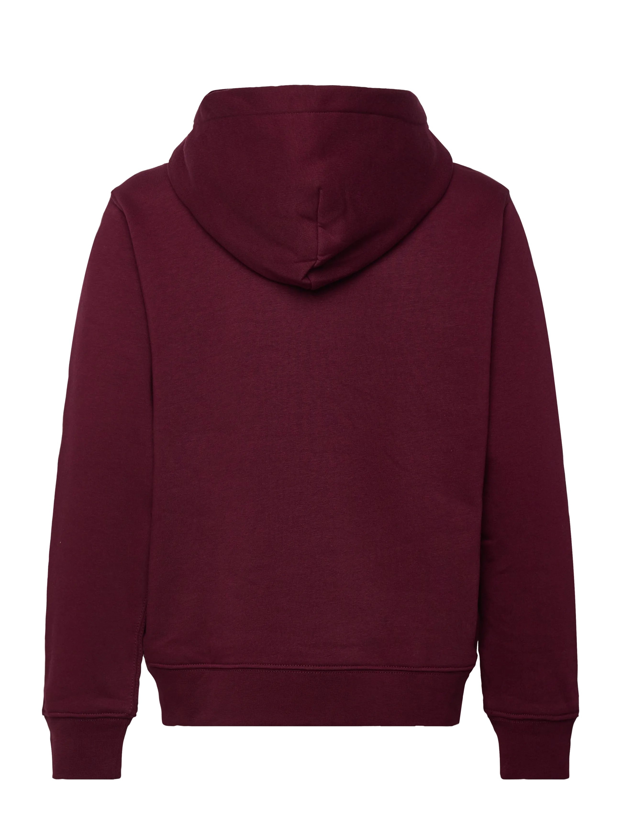 Ralph Lauren Kids - Polo Bear Fleece Hoodie - fa25 bear classic - 1