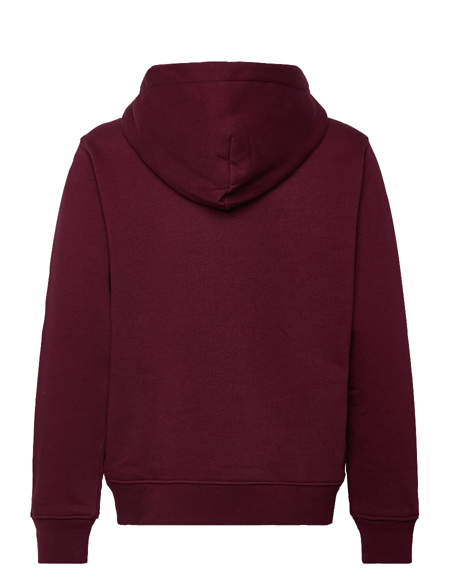 Ralph Lauren Kids - Polo Bear Fleece Hoodie - fa25 bear classic - 1